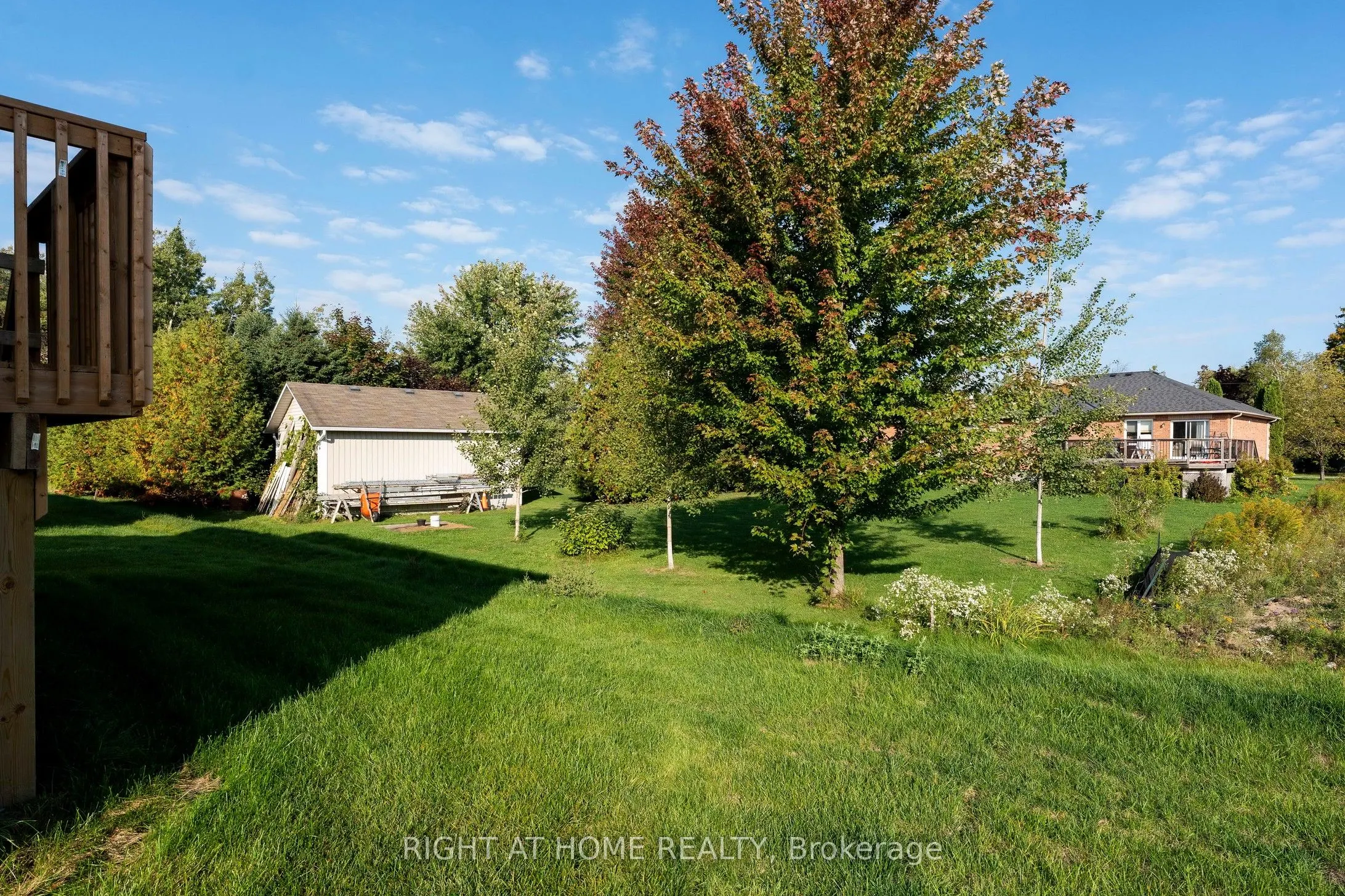 240 Wilcox Drive