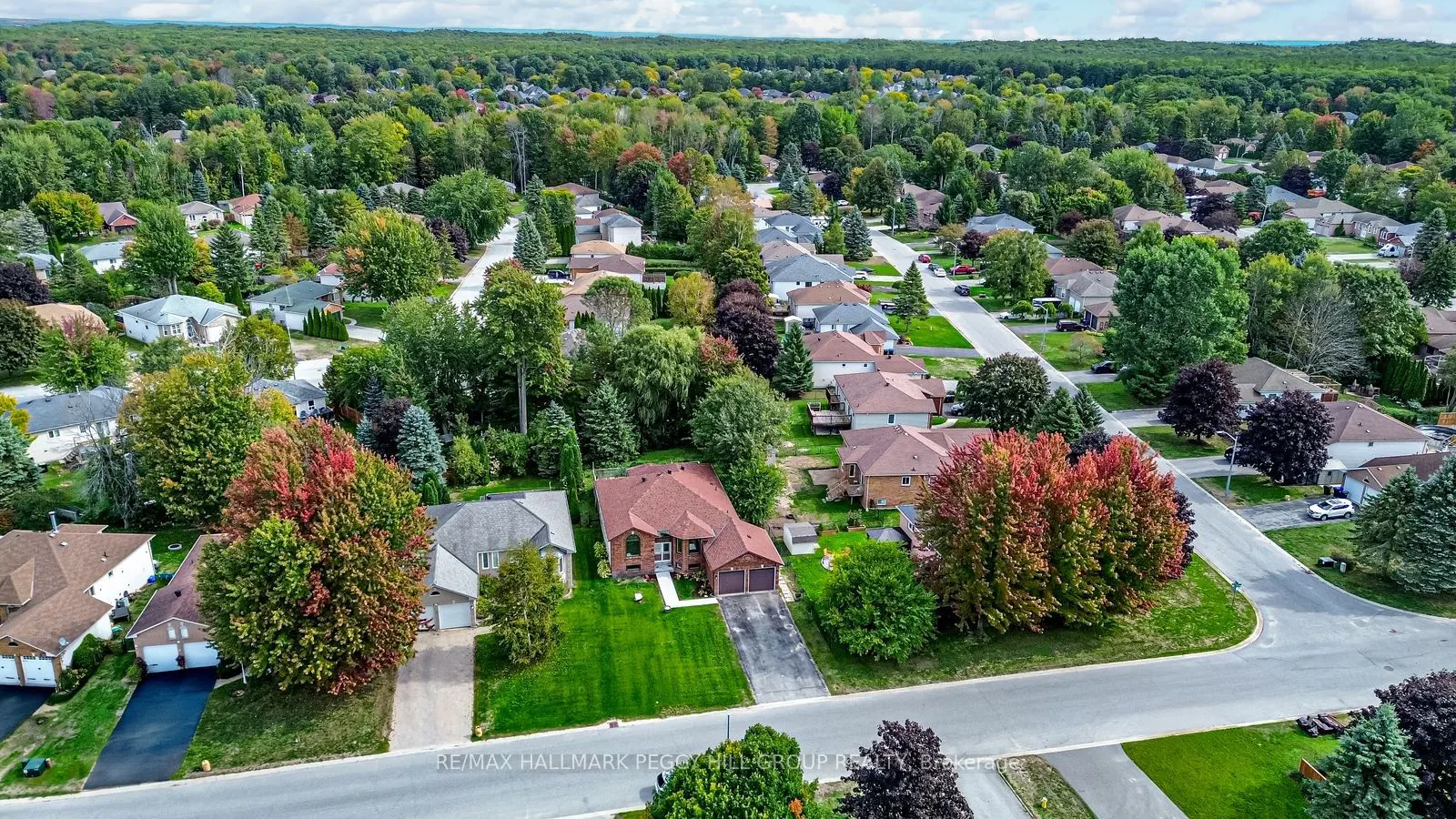 29 Silver Birch Avenue