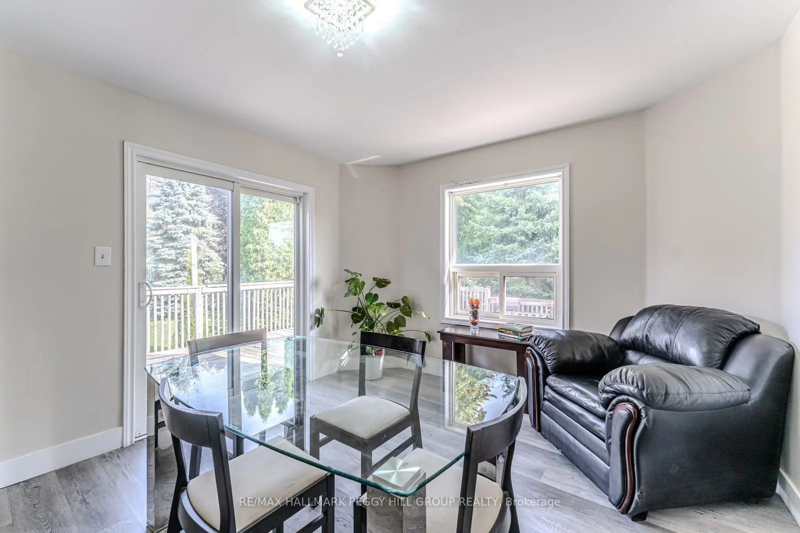 29 Silver Birch Avenue
