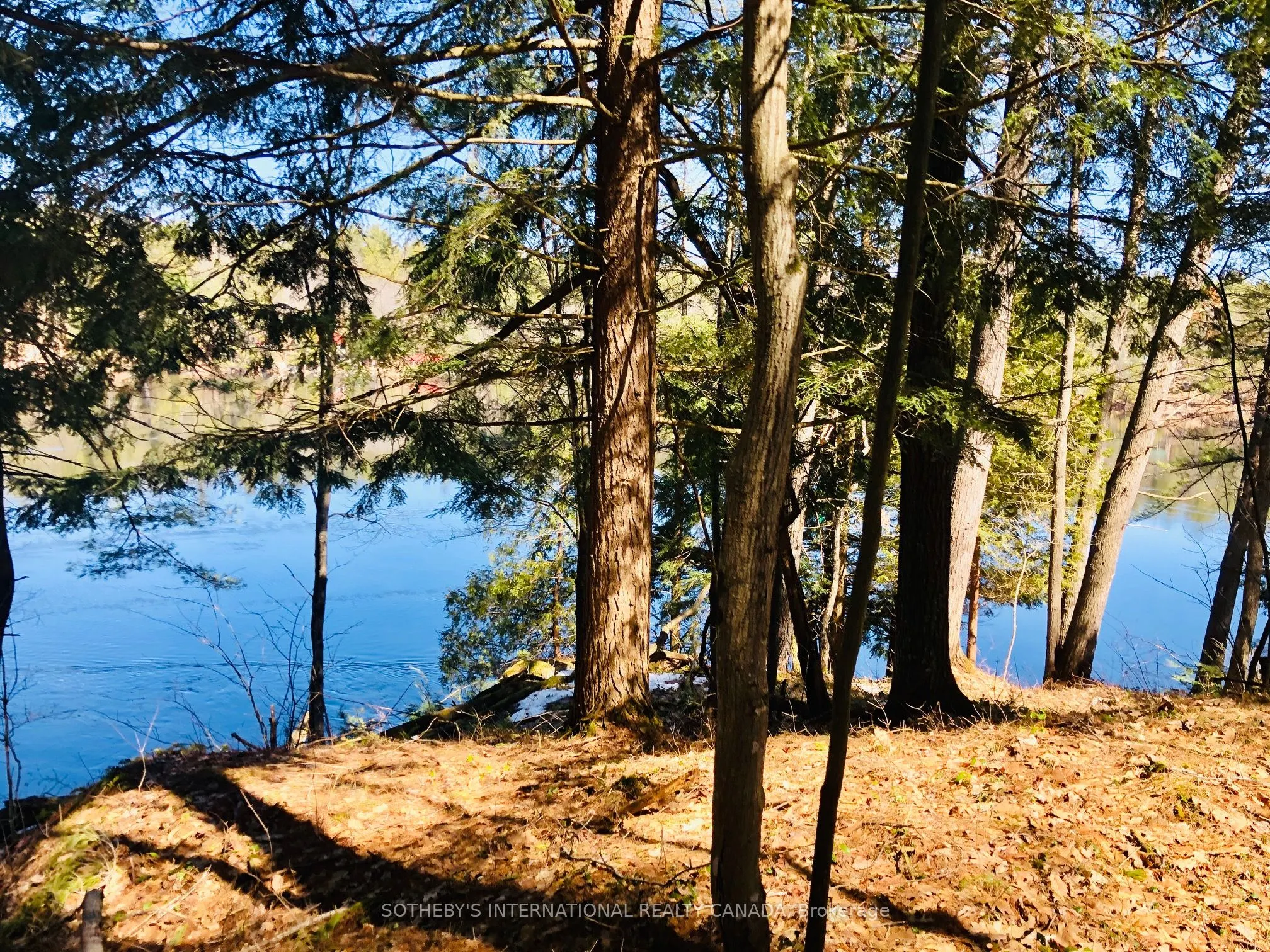 3197 Severn River
