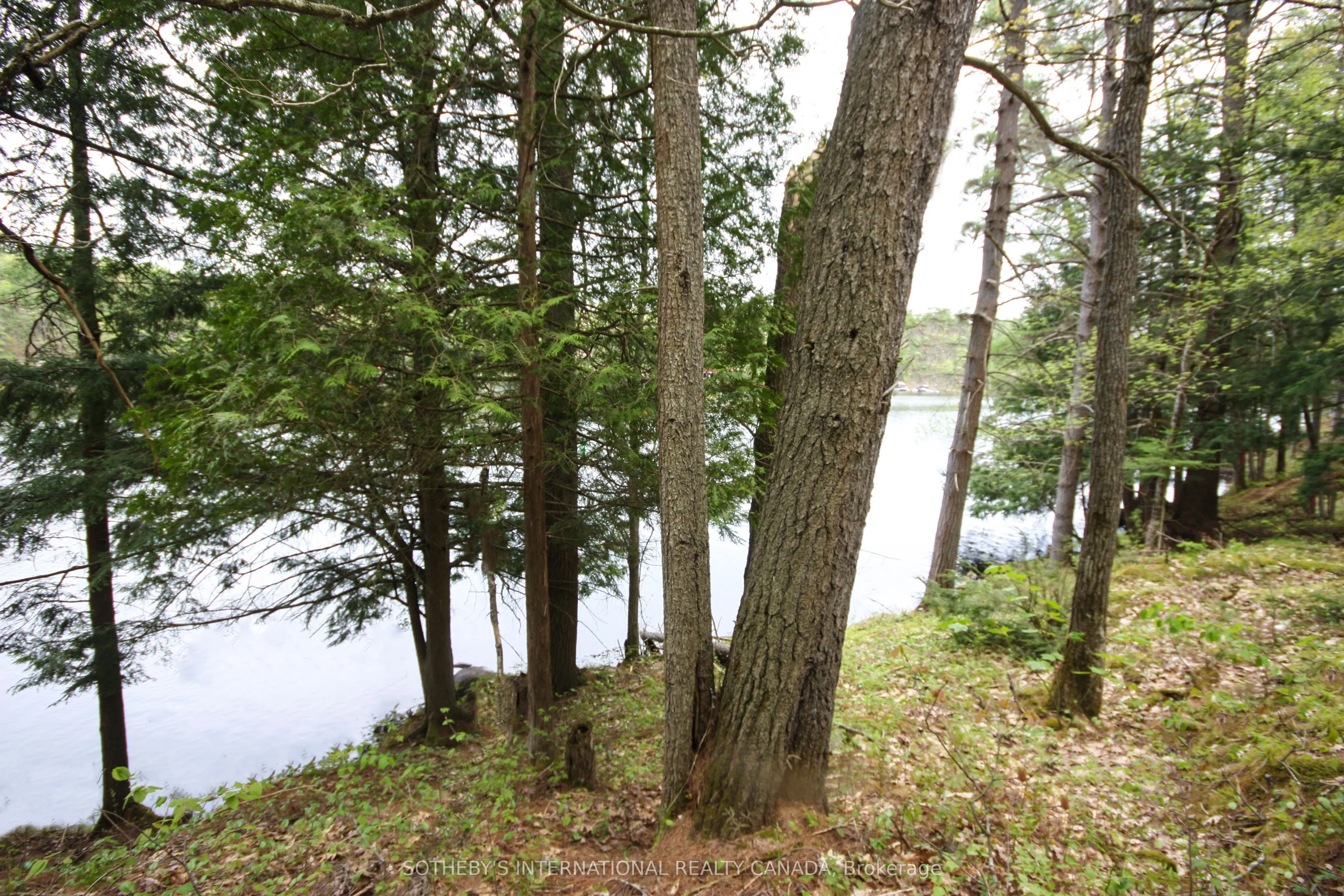 3197 Severn River