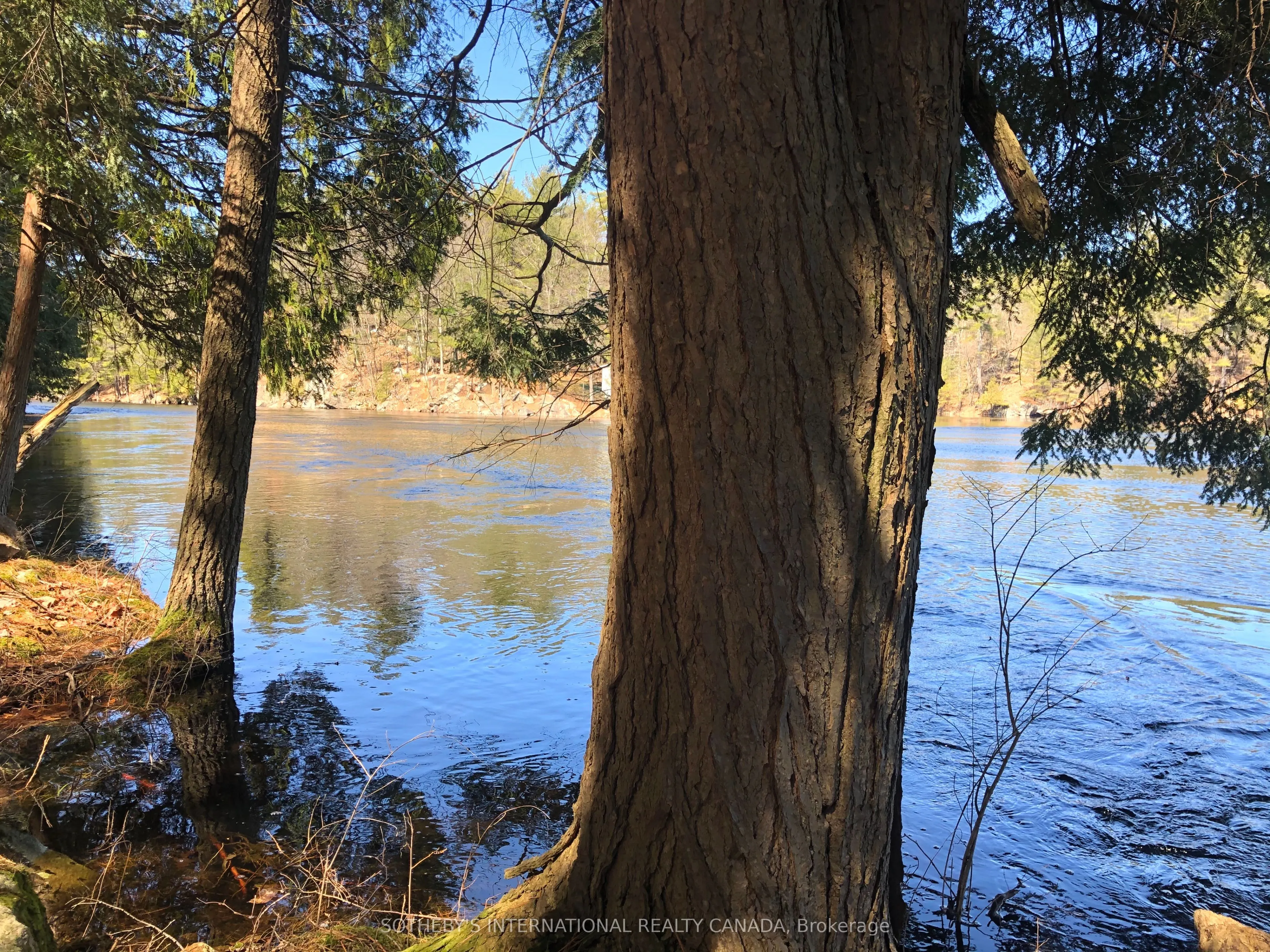 3197 Severn River