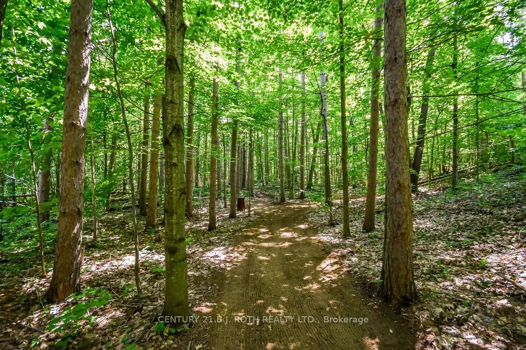 2357 SOUTH ORR LAKE Road