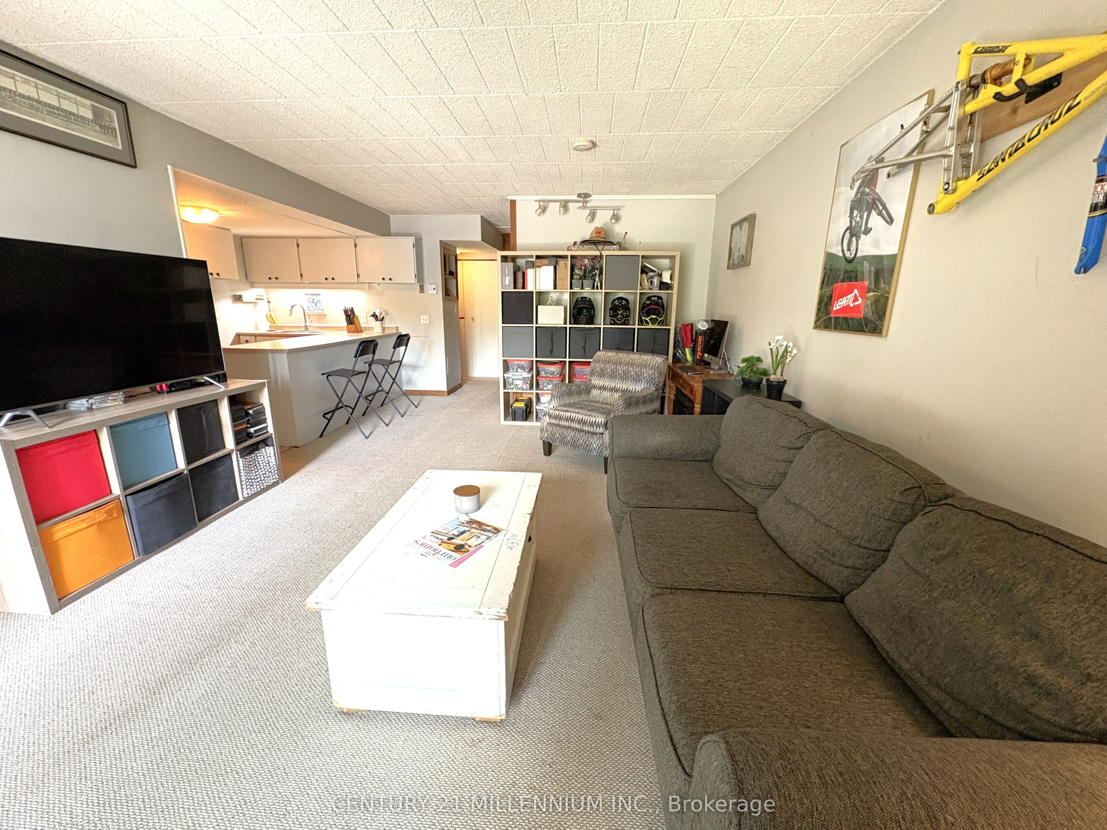 1102 Horseshoe Valley Road W, #114