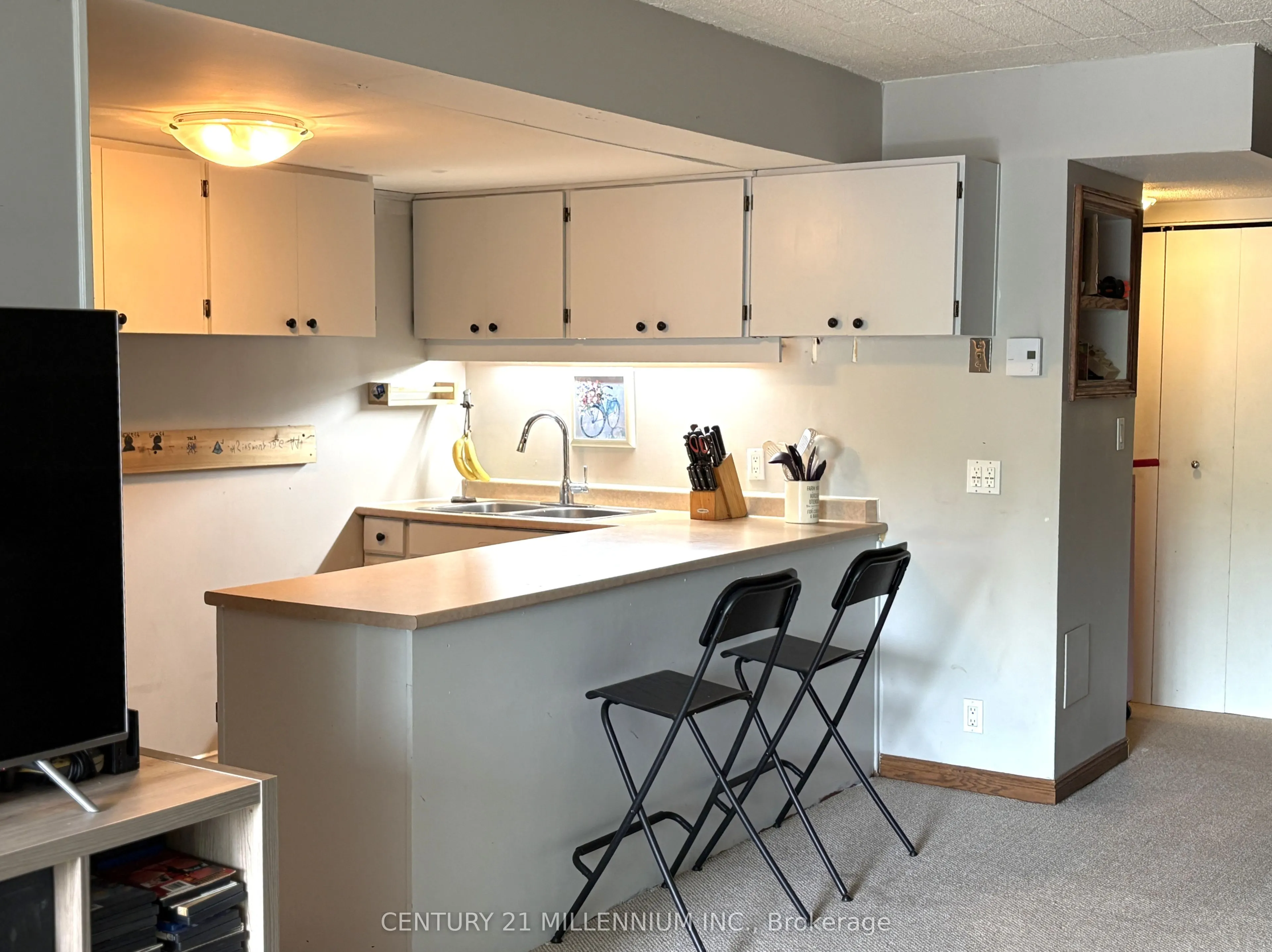 1102 Horseshoe Valley Road W, #114