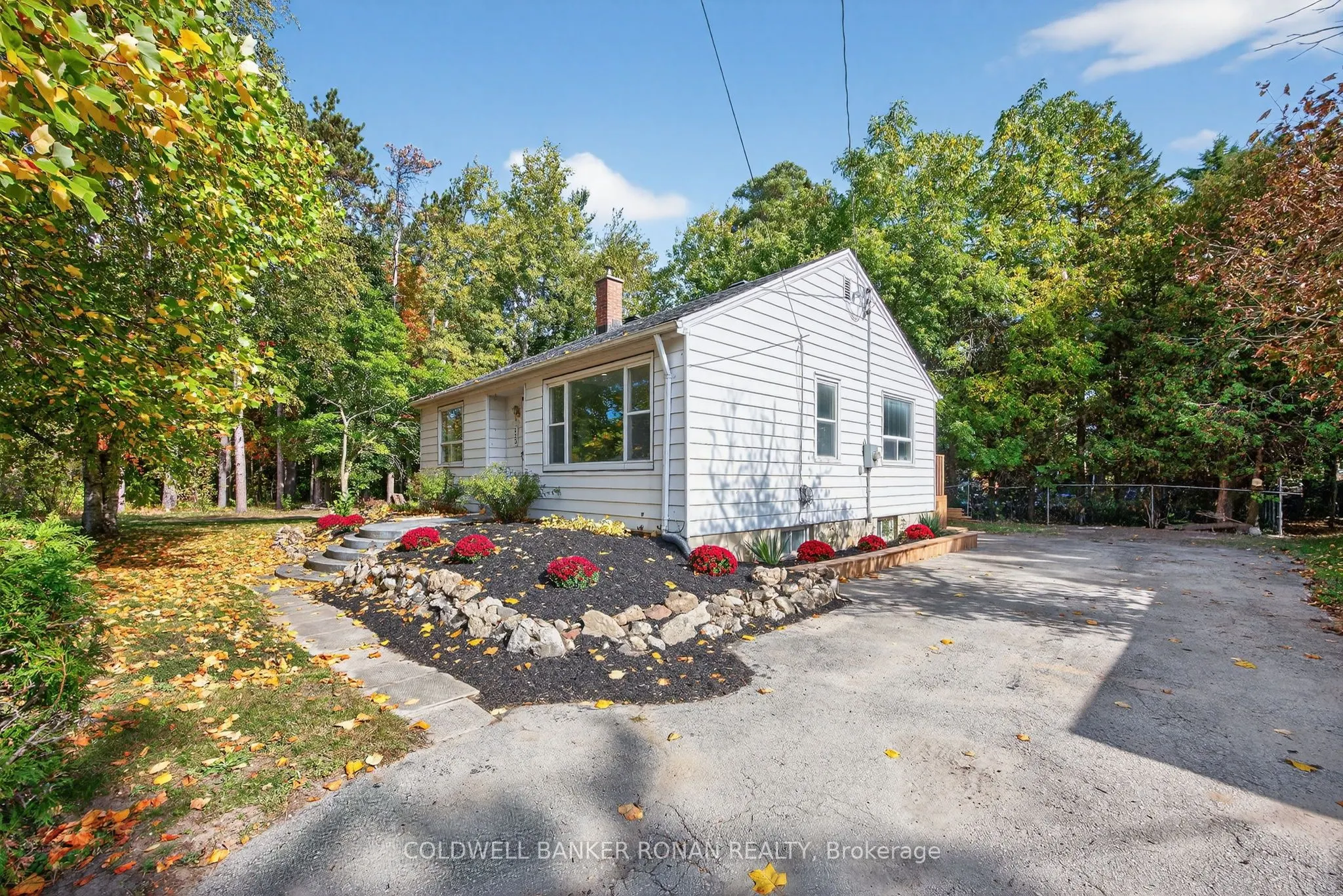223 Louisa Street