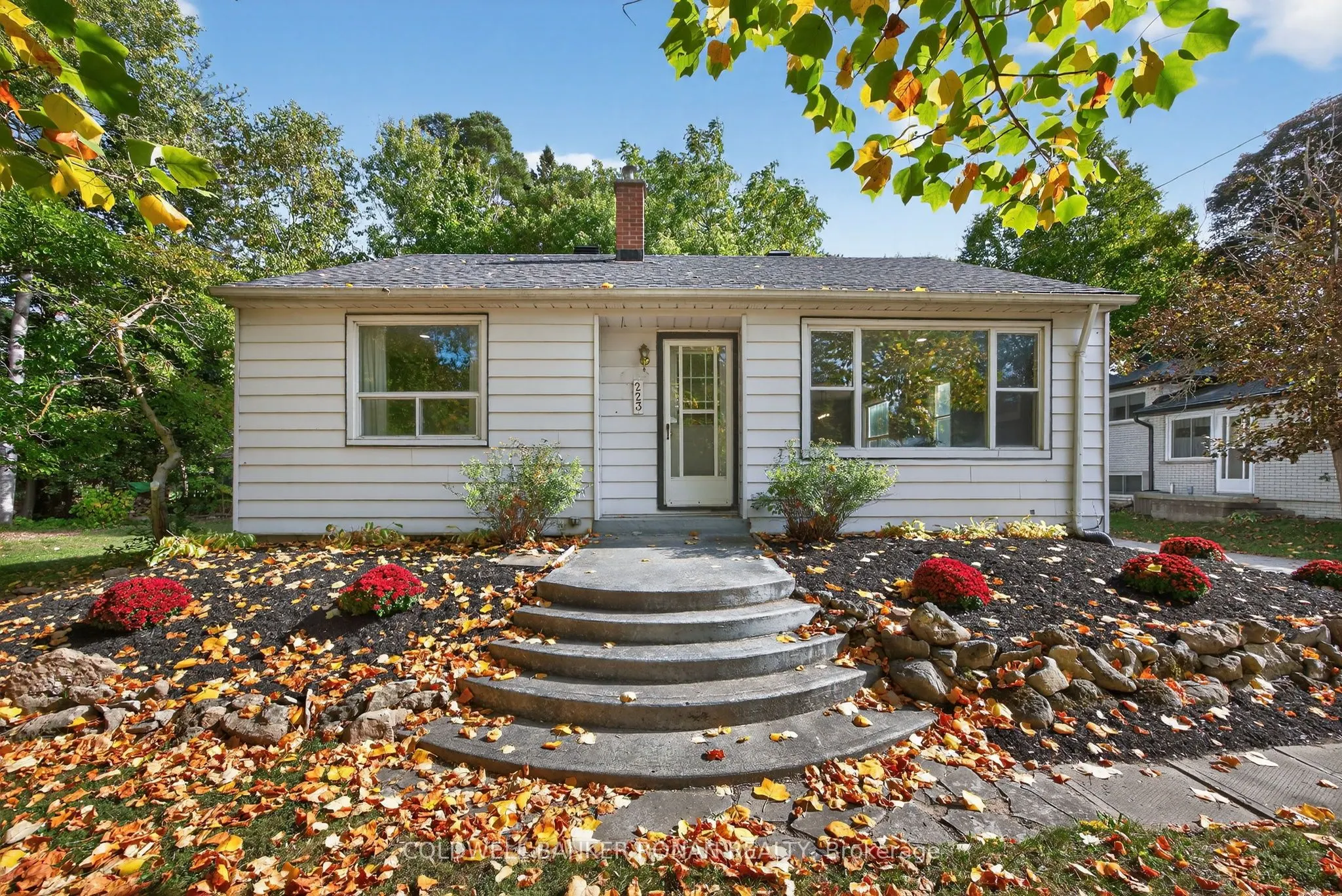 223 Louisa Street