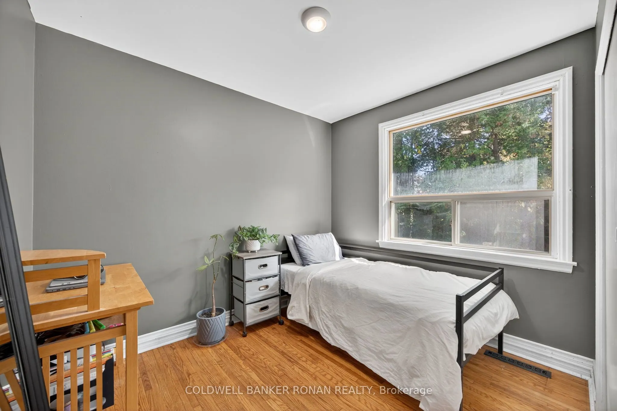 223 Louisa Street