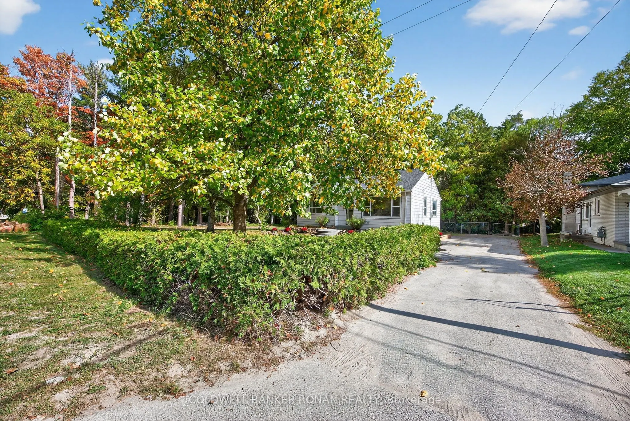 223 Louisa Street