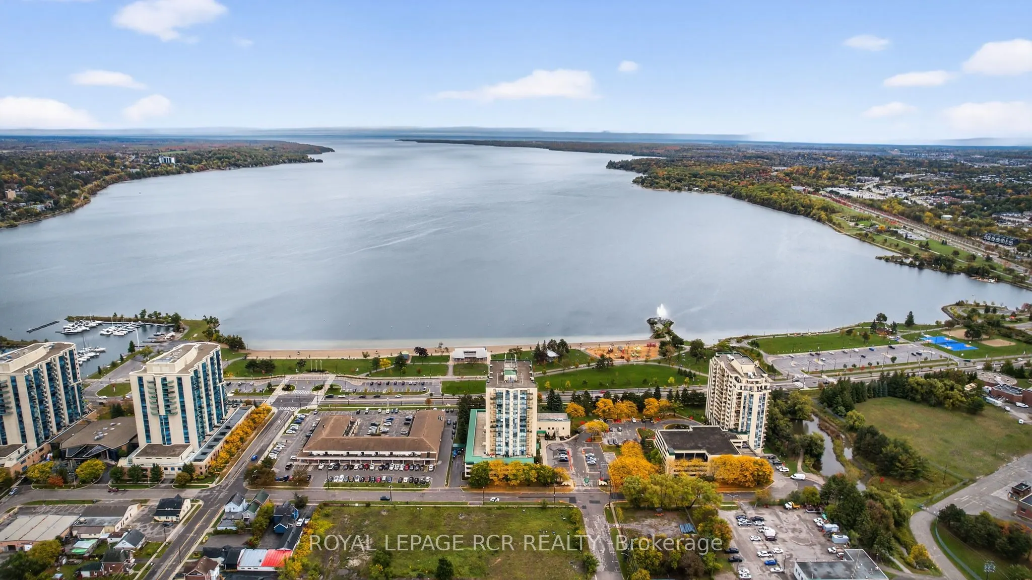 65 Ellen Street, #905