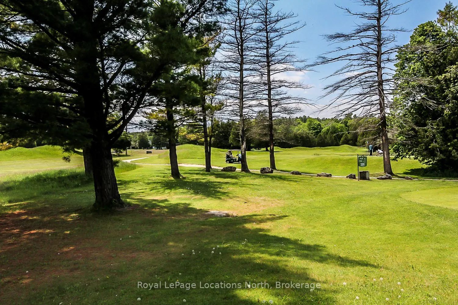 30 Mulligan Lane #8