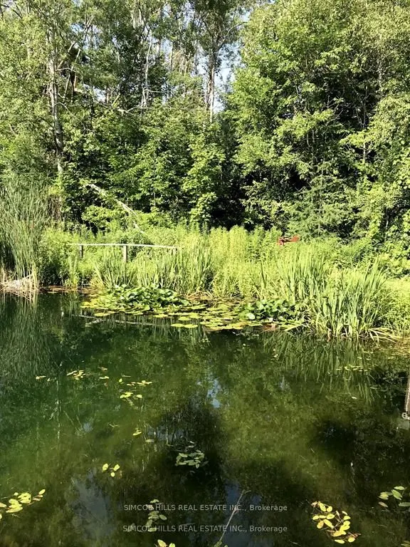 185 Medonte Sideroad 2 Road