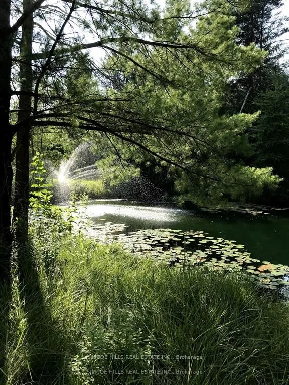 185 Medonte Sideroad 2 Road