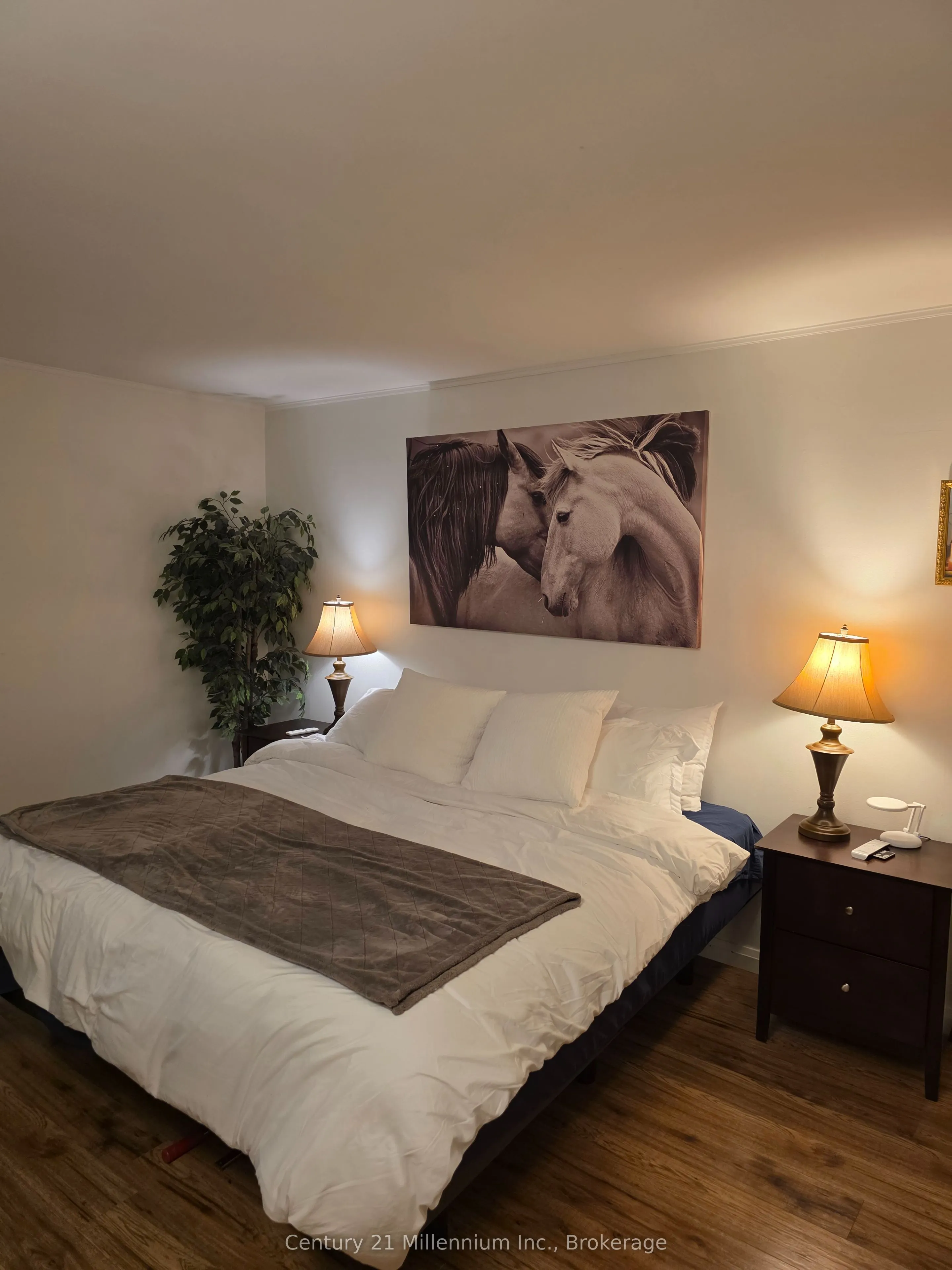 11 HARBOUR Street W, #341