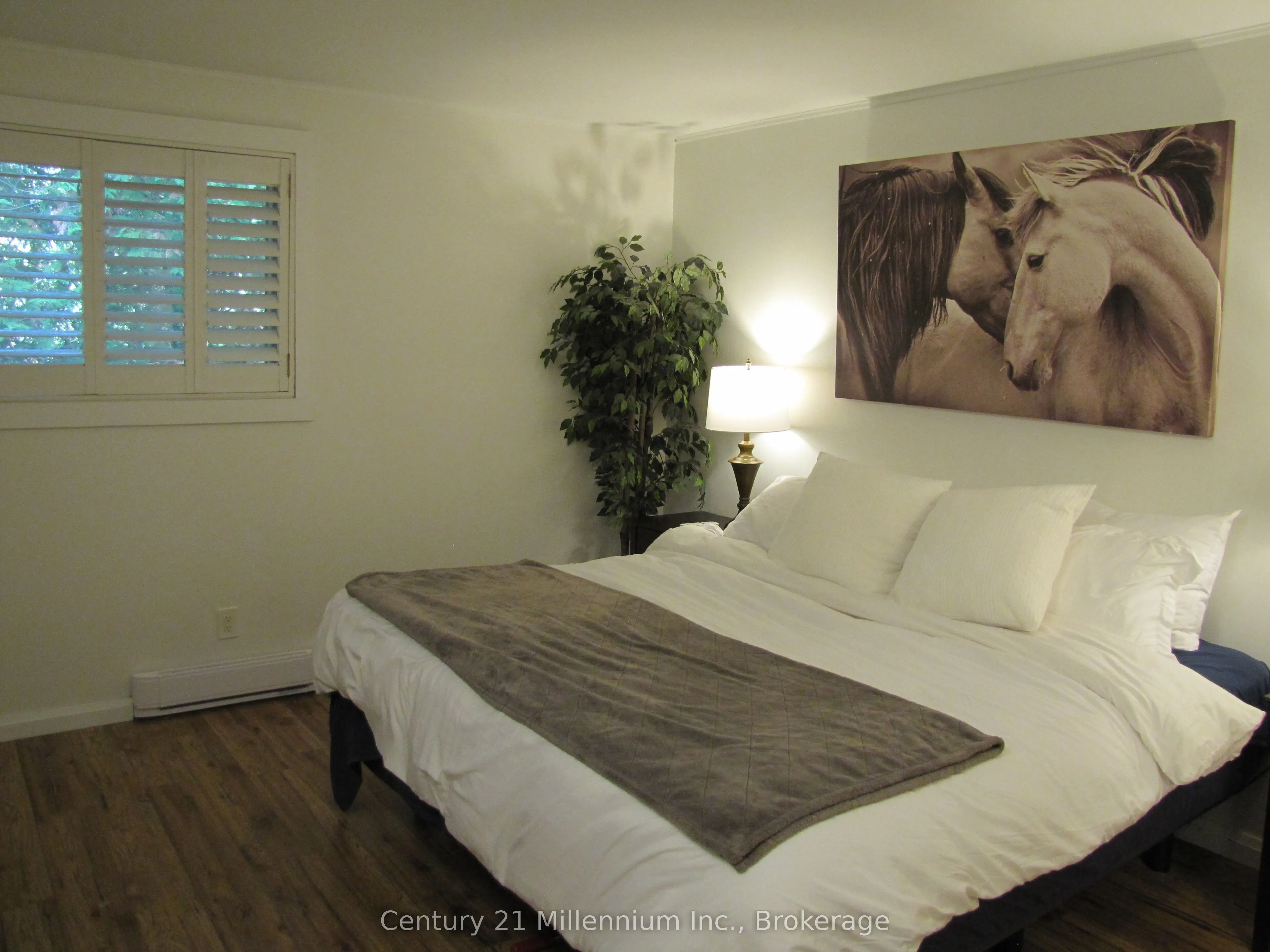 11 HARBOUR Street W, #341