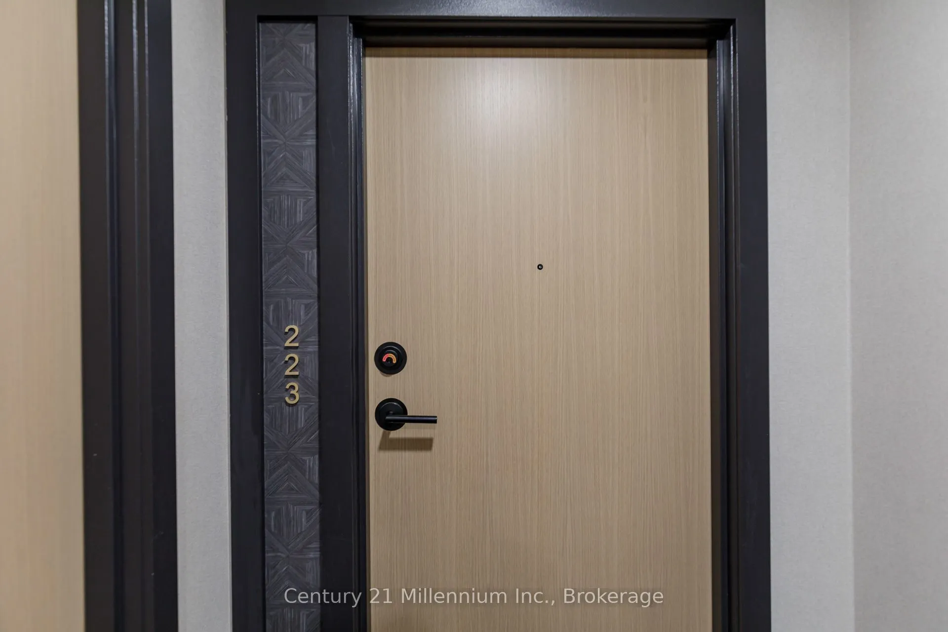 31 Huron Street, #223