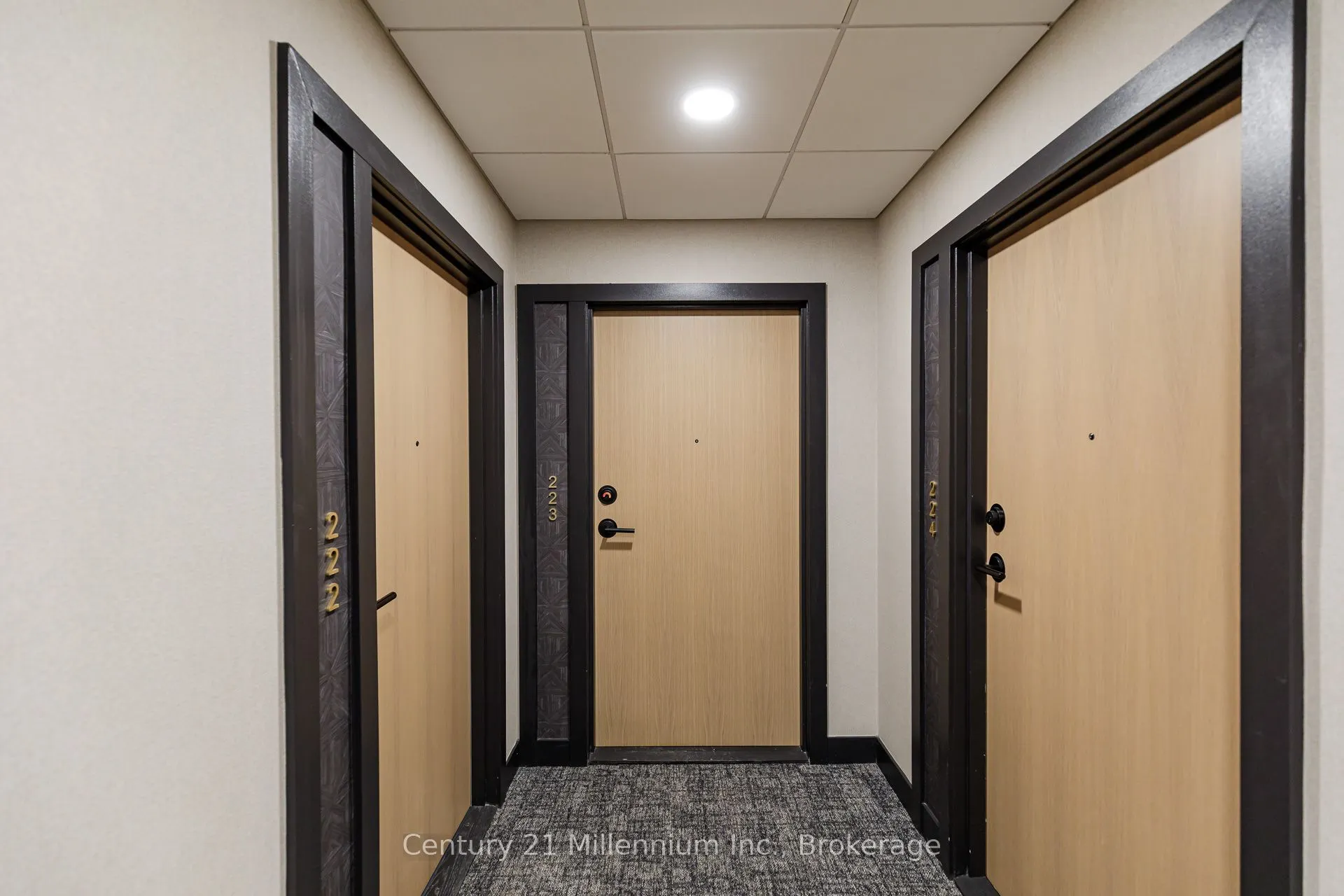 31 Huron Street, #223