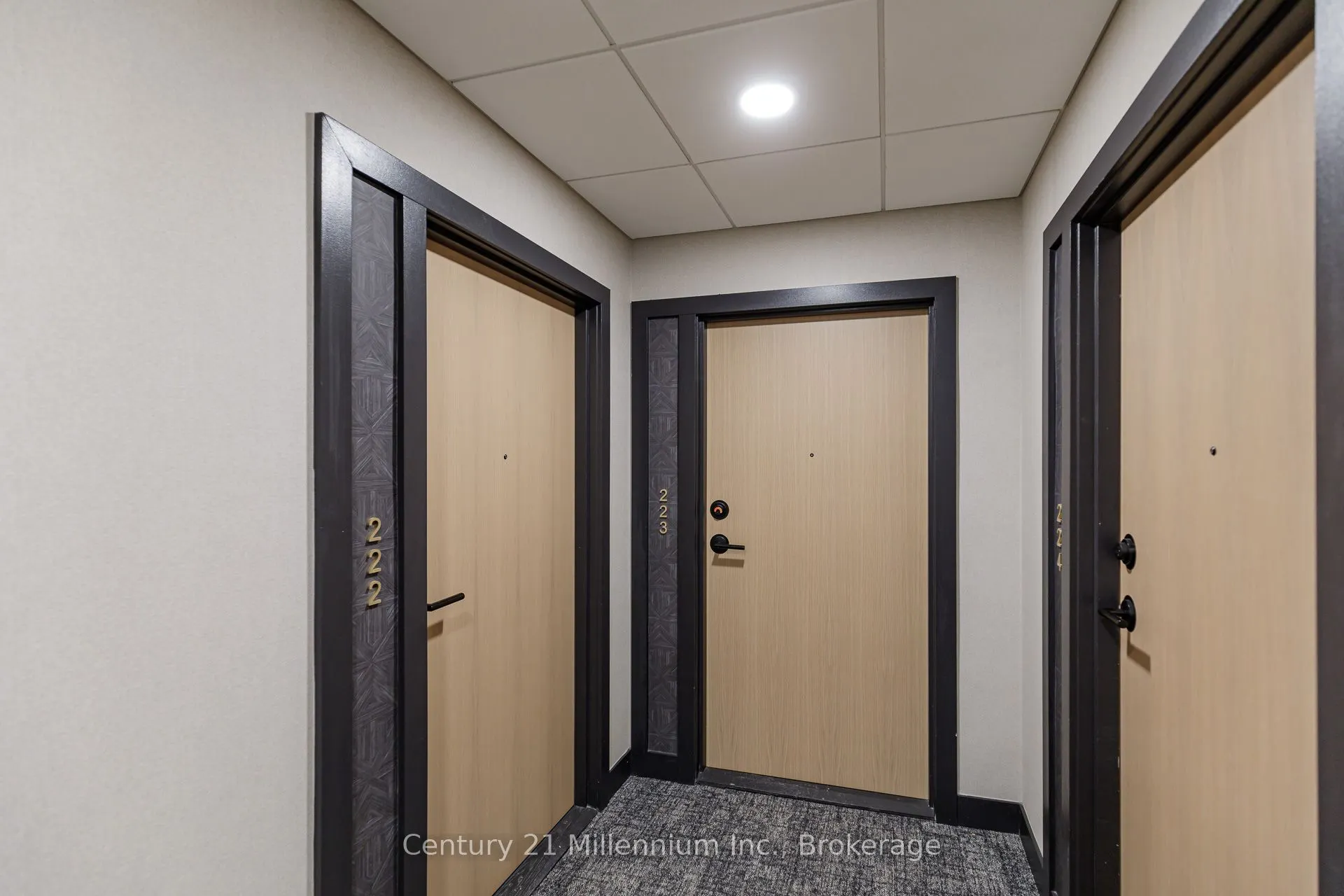 31 Huron Street, #223