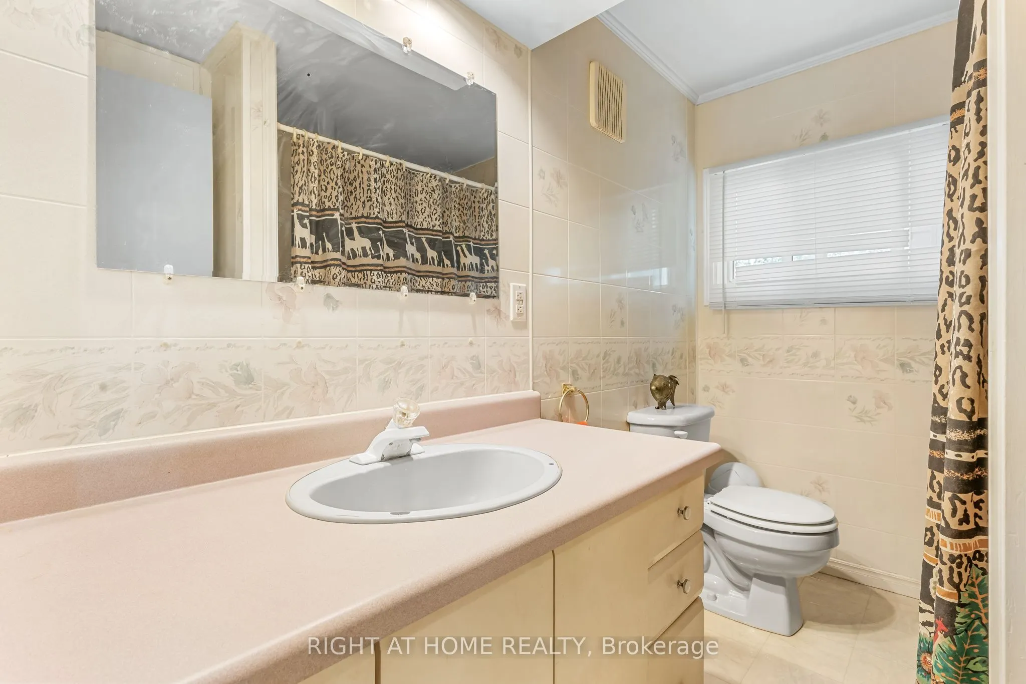 3 Carruthers Street S