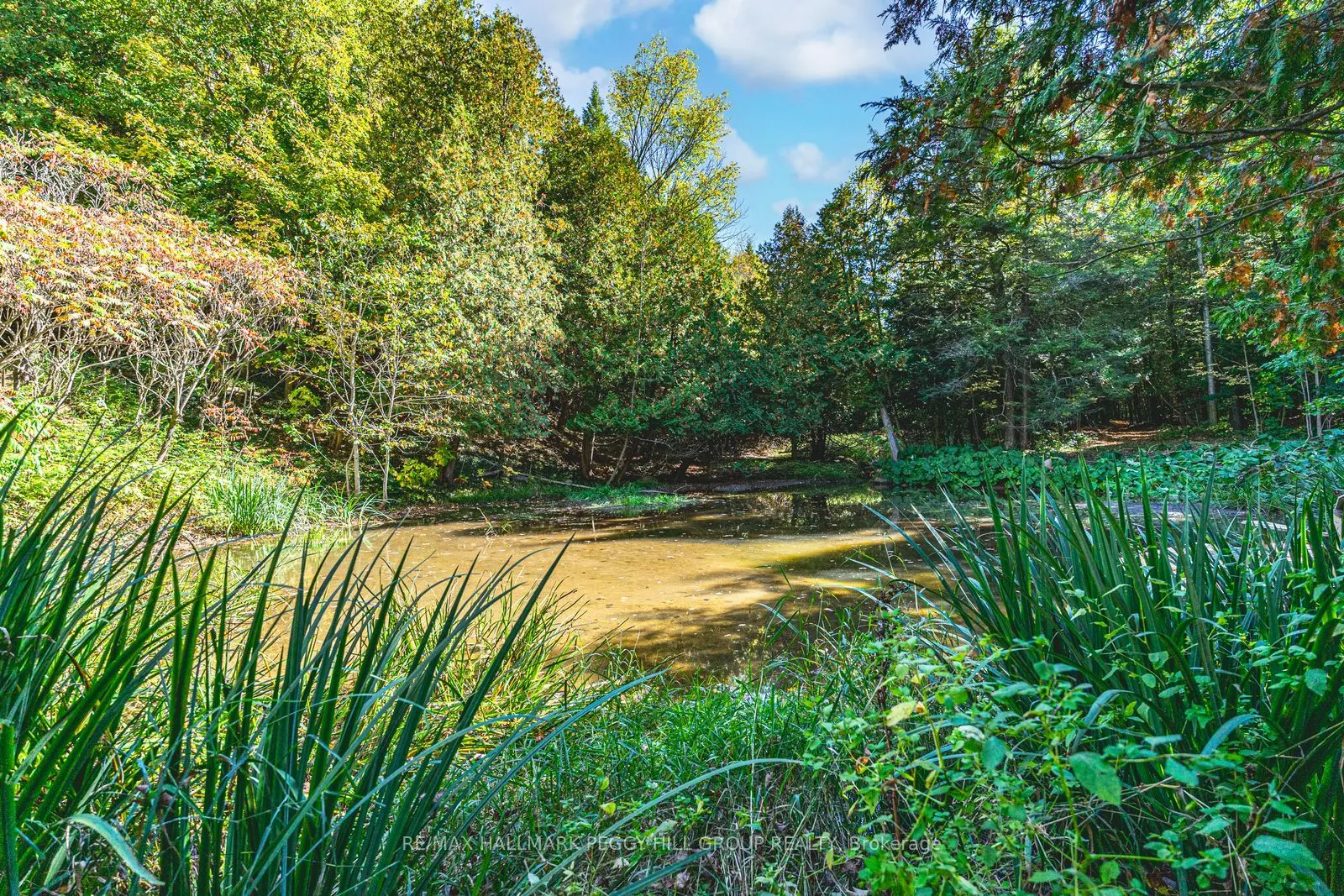 8275 County Road 9