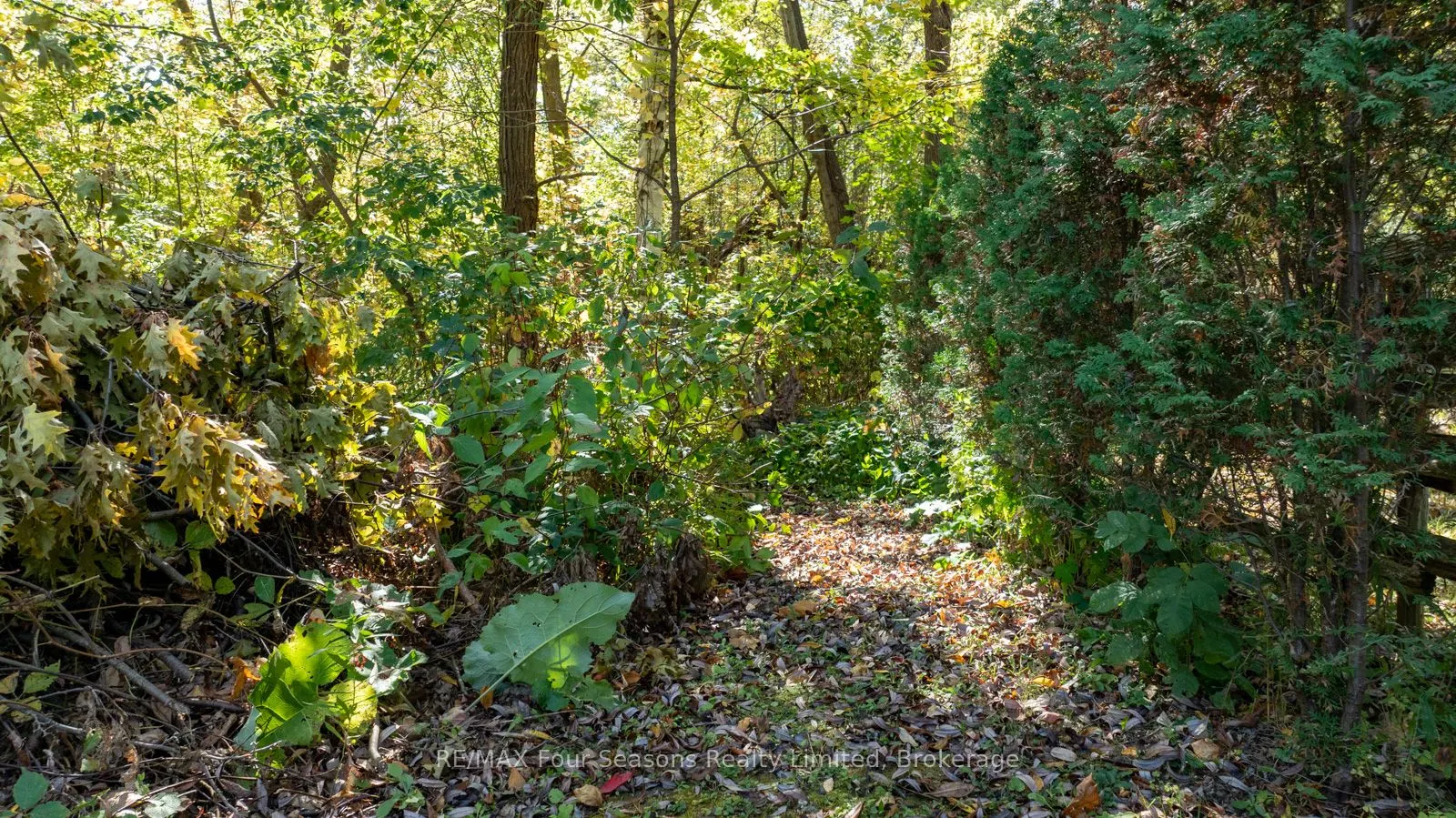 5 Caddo Drive