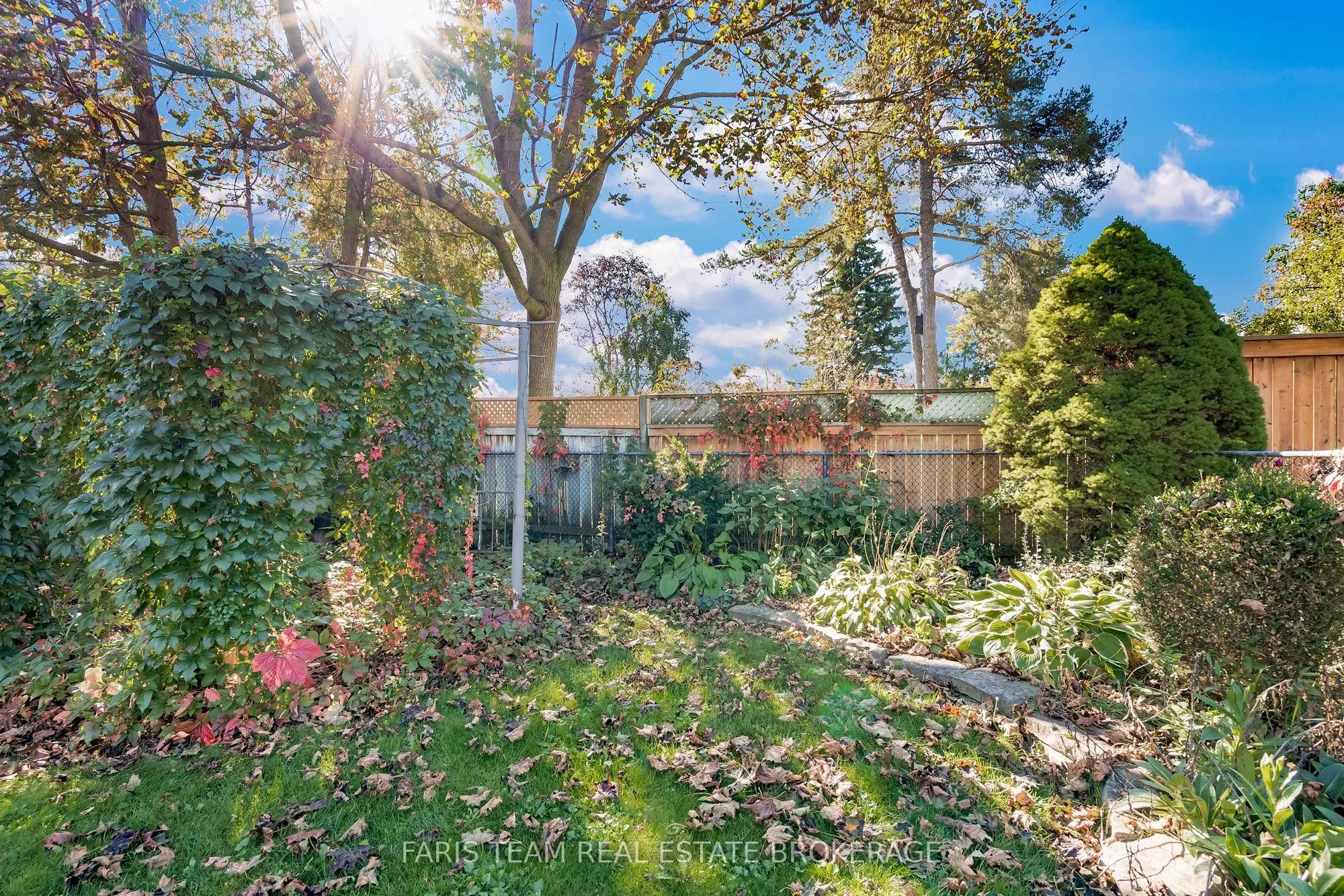 31 Napier Street