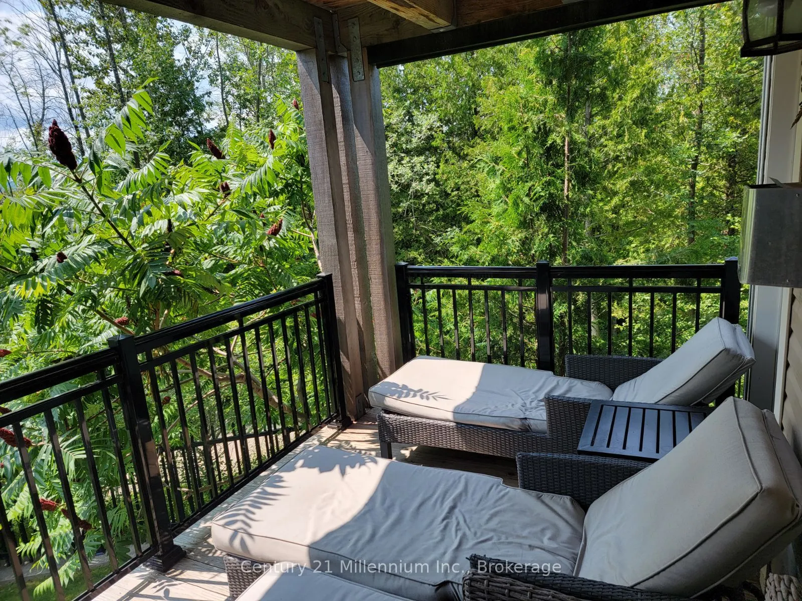10 Brandy Lane Drive, #208
