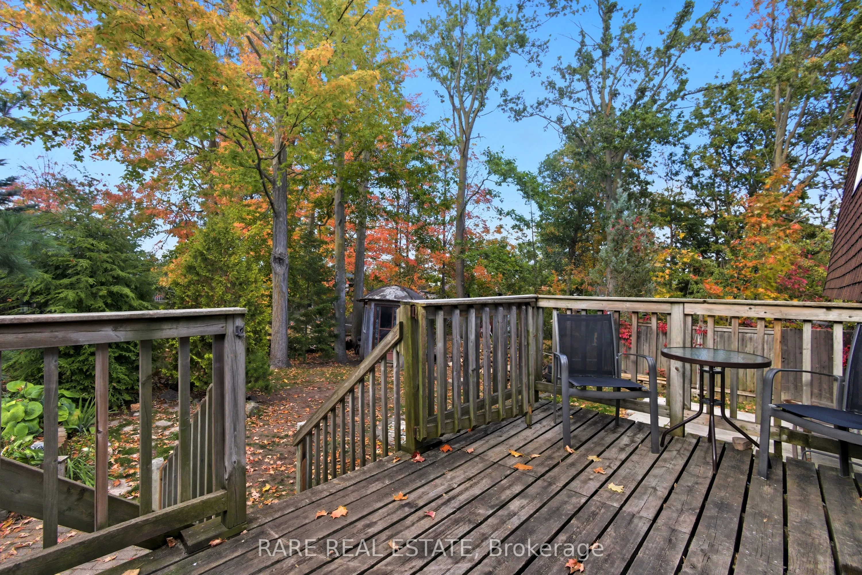 66 Springdale Drive