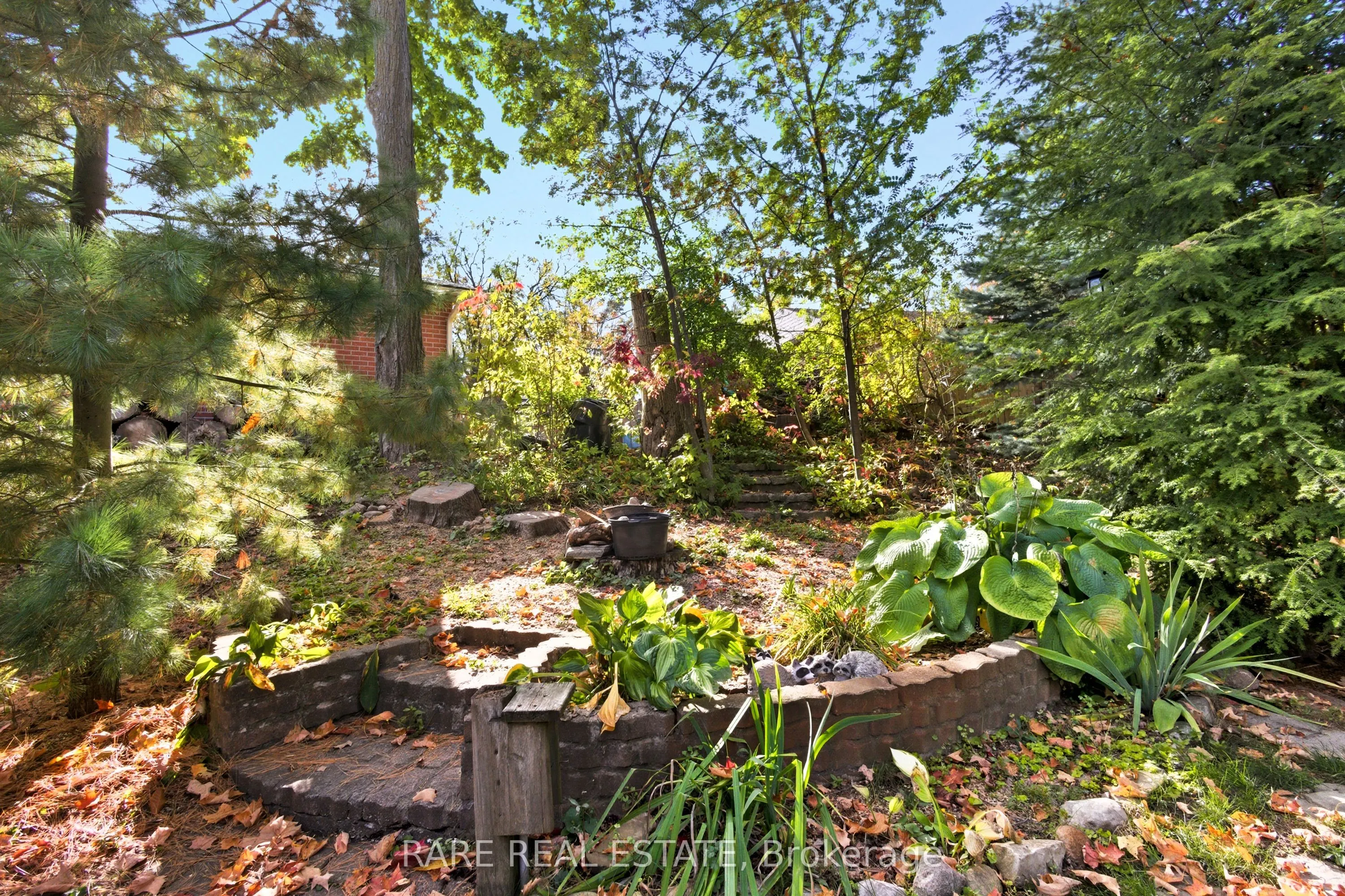 66 Springdale Drive