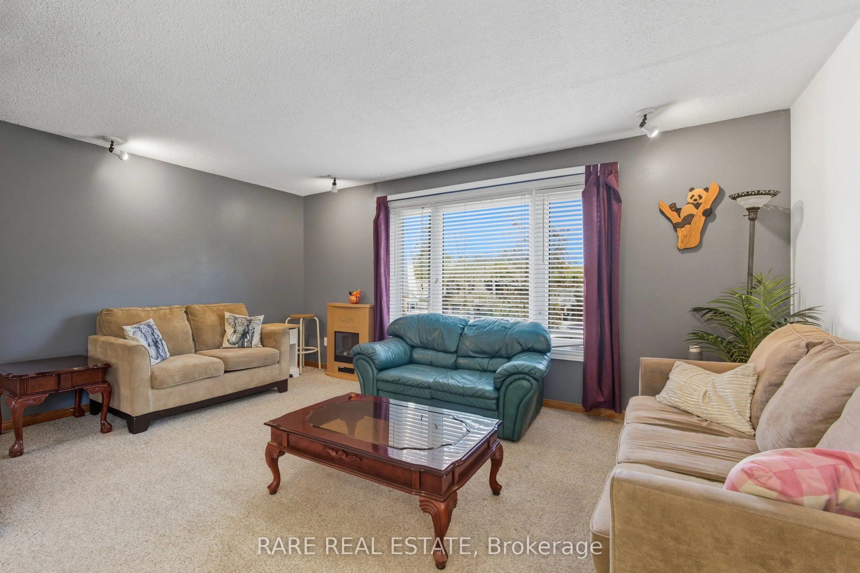 66 Springdale Drive