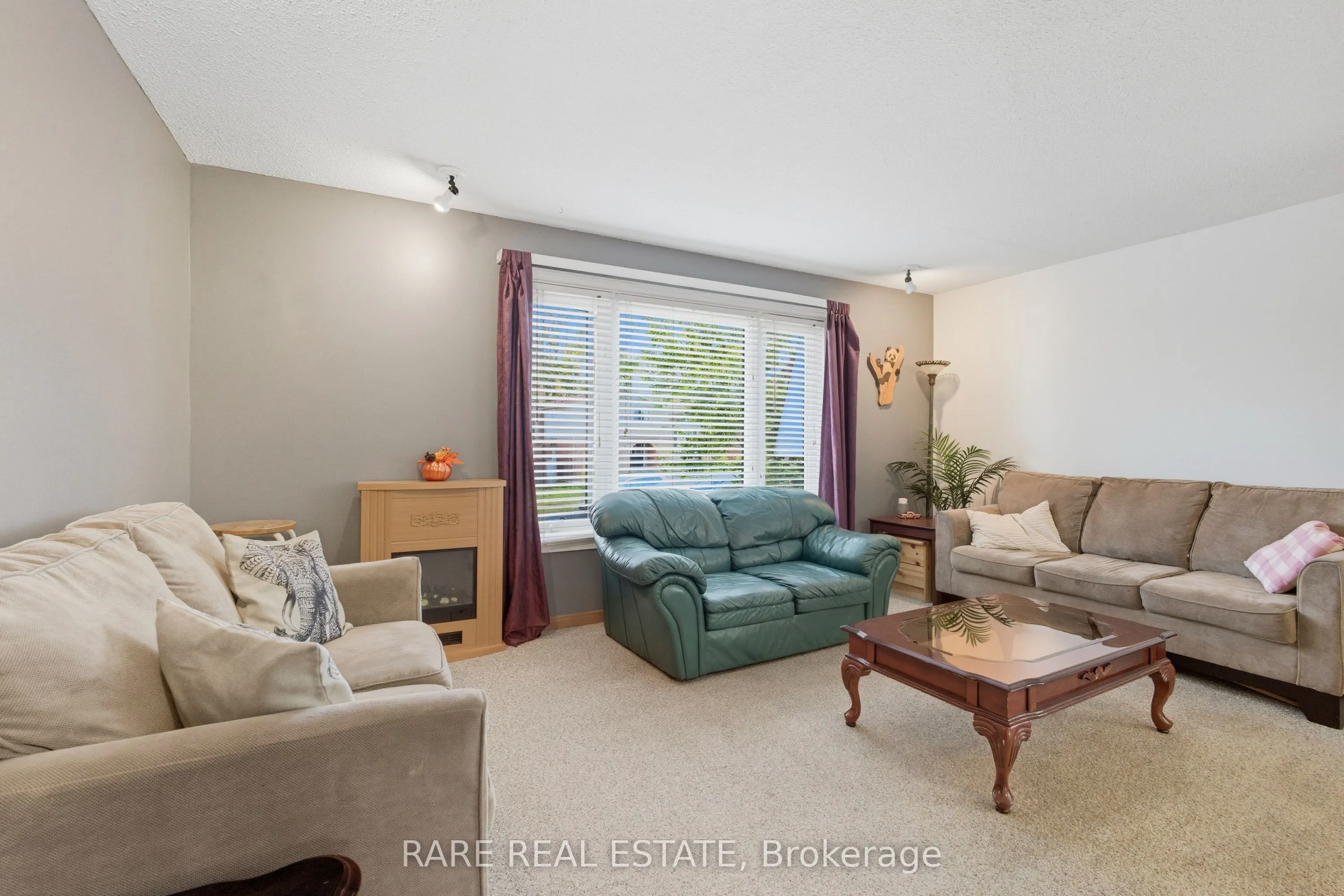 66 Springdale Drive