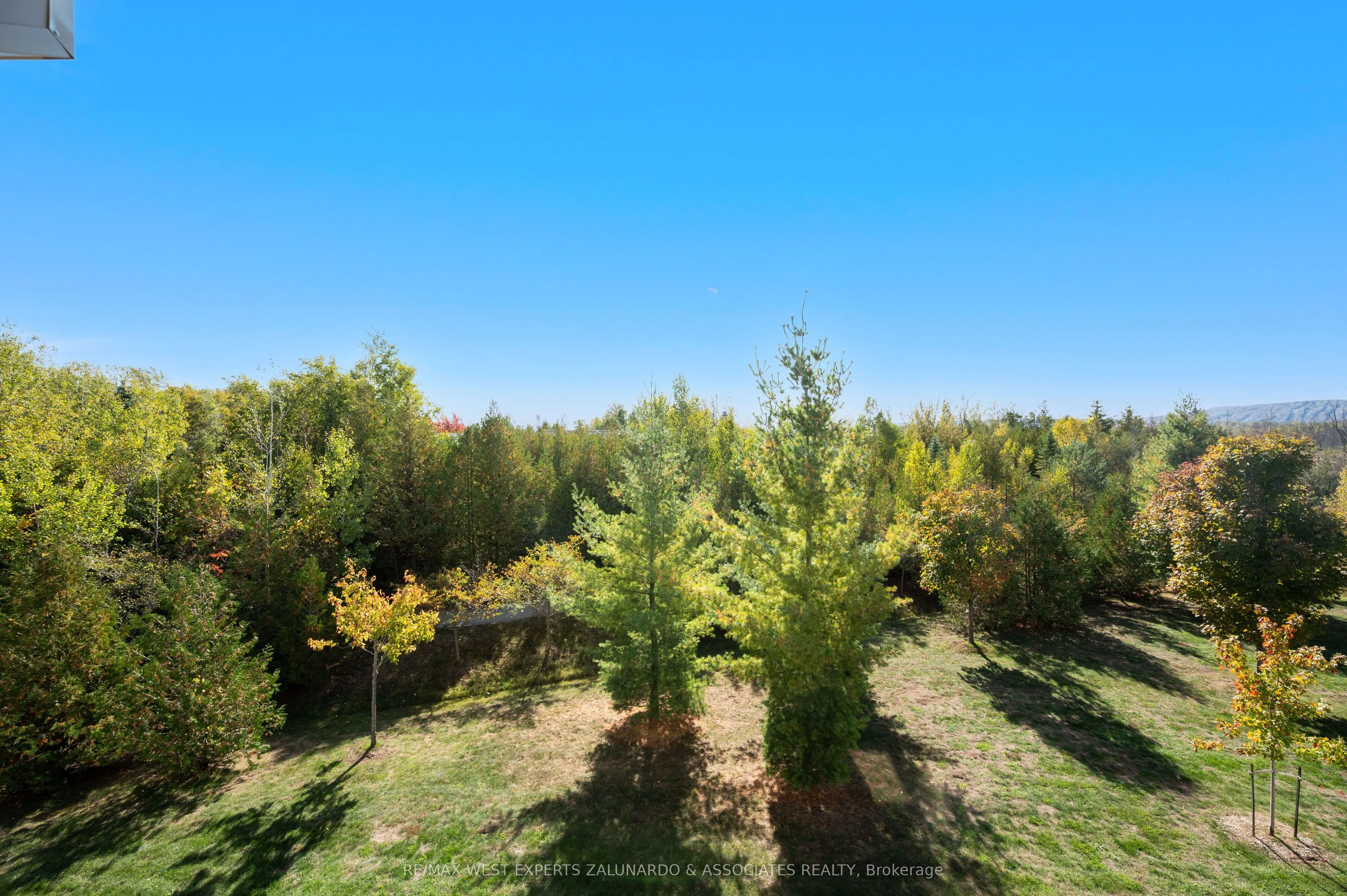 8 Brandy Lane Drive, #305
