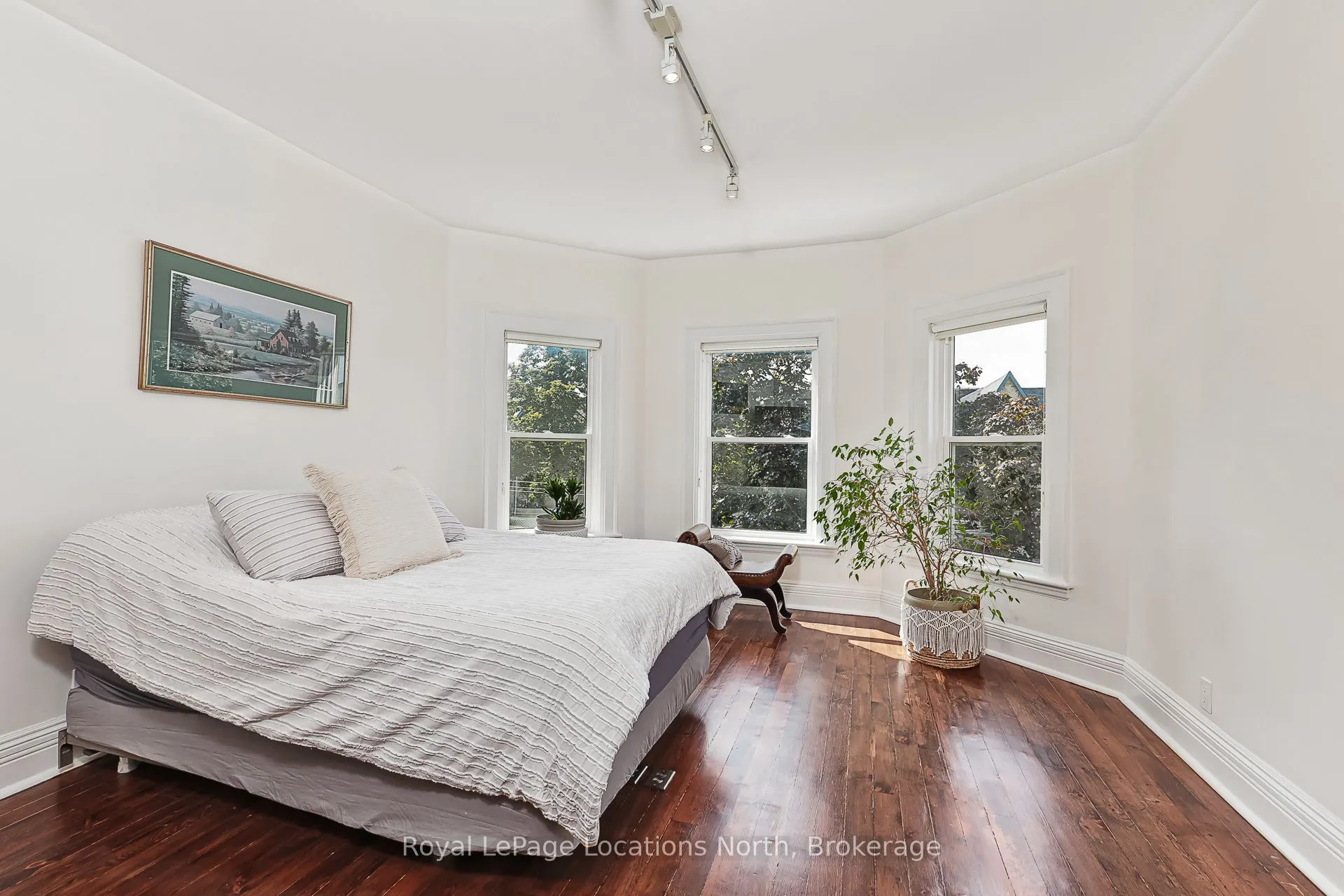 43 Elgin Street
