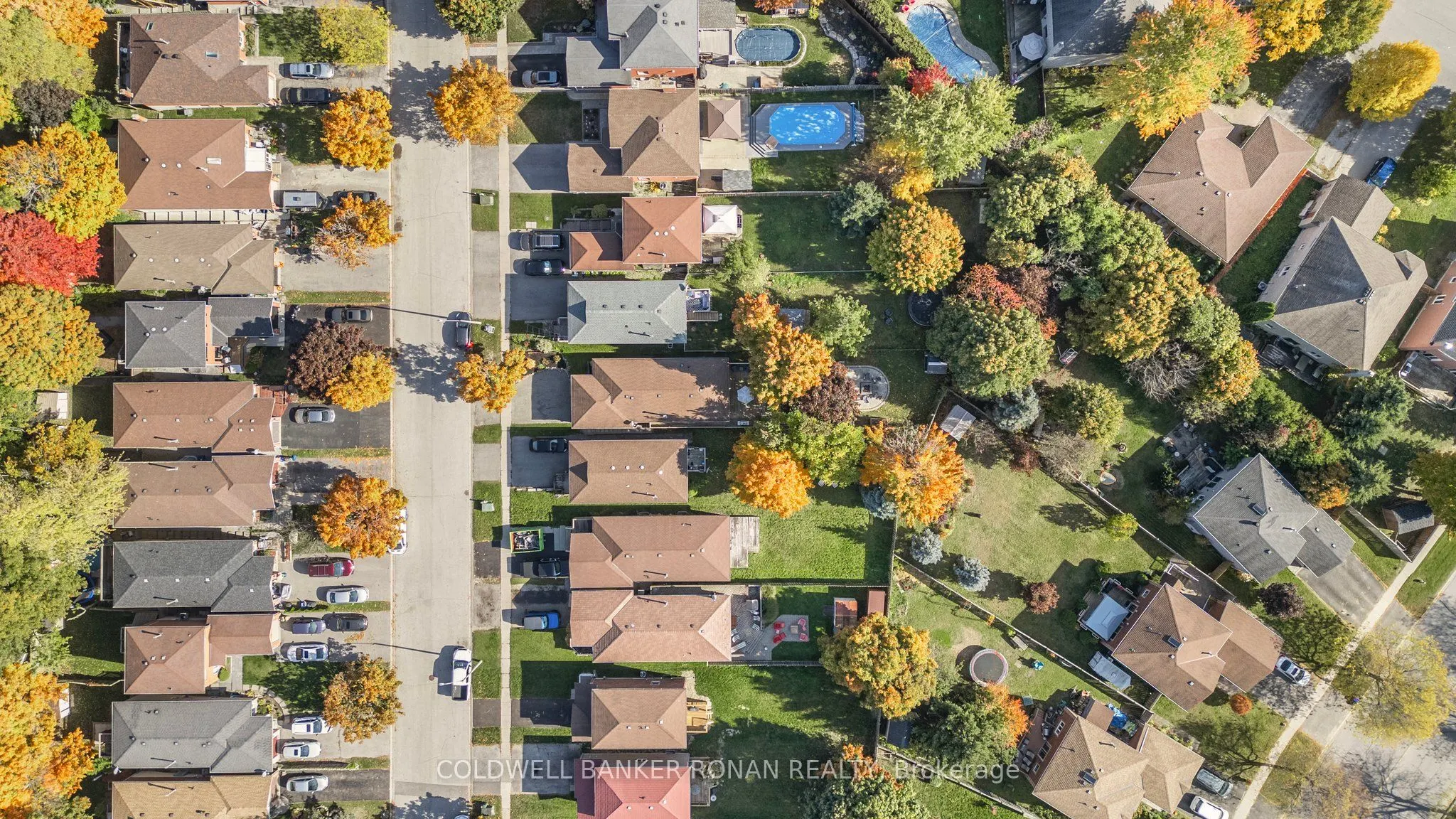 39 Ferguson Drive