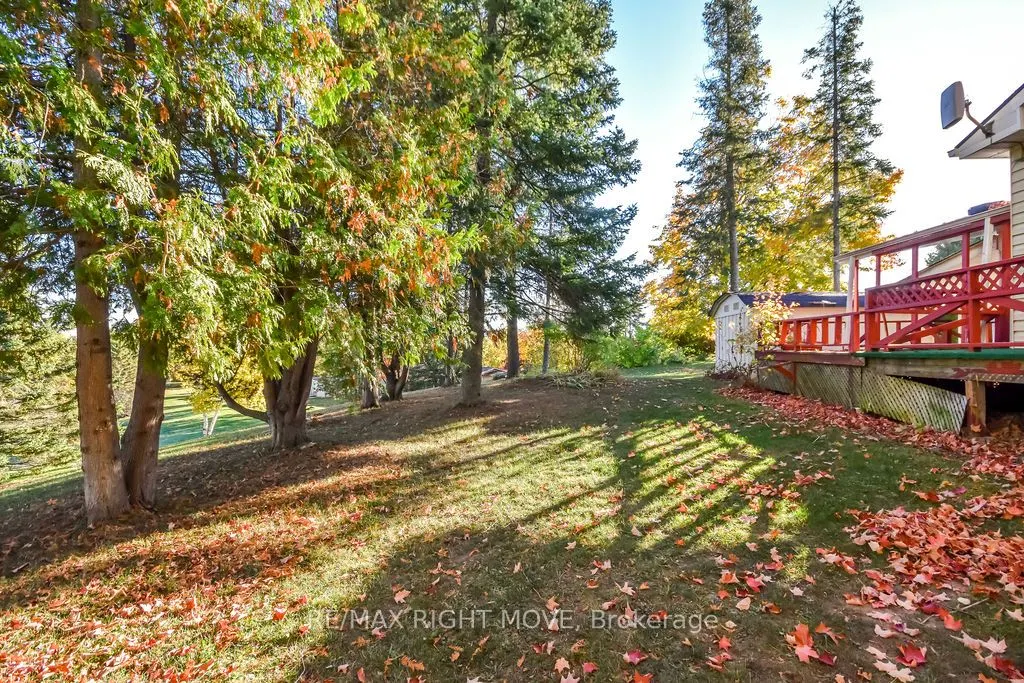 95 Cameron Drive