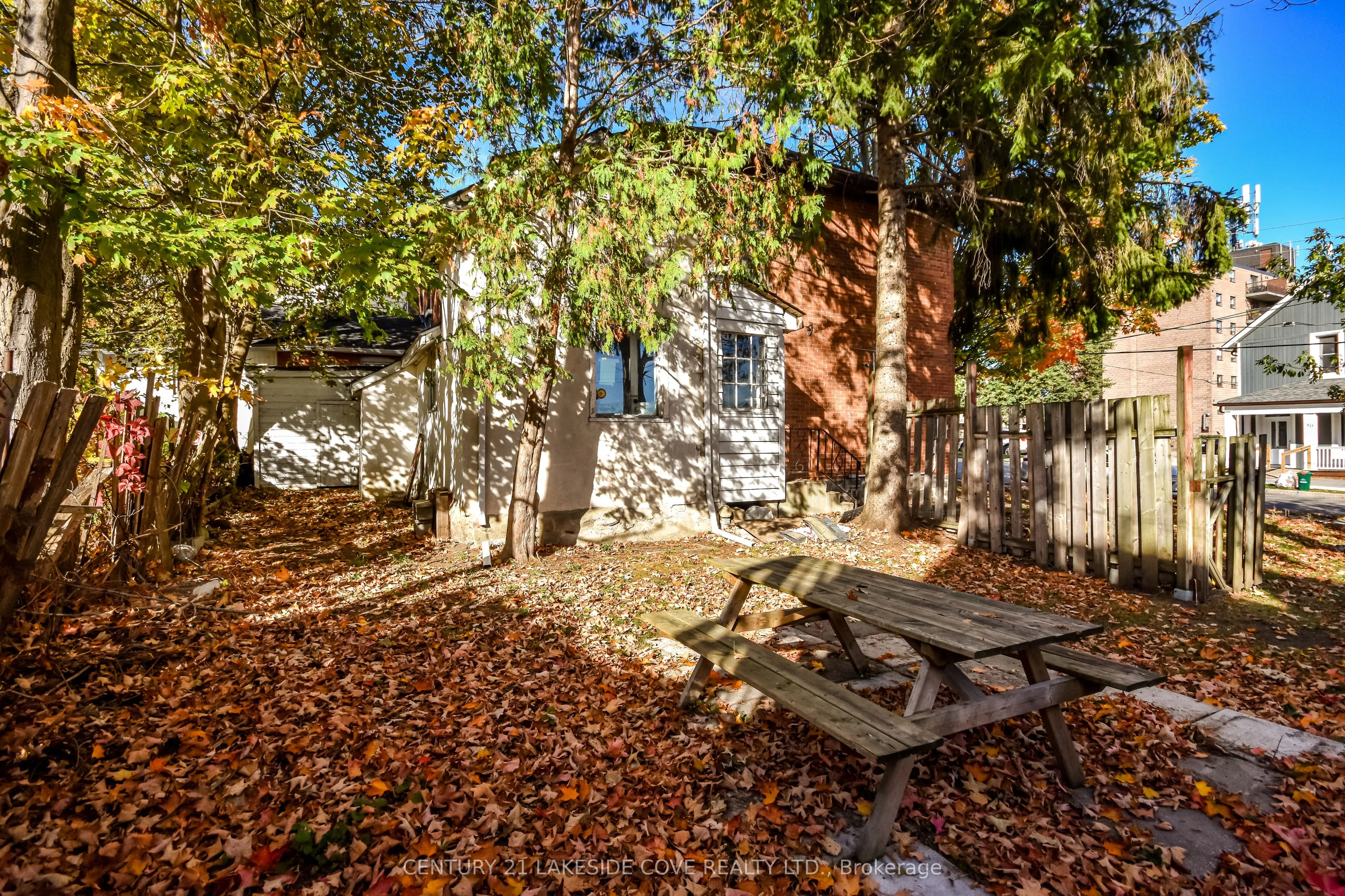 41 Albert Street N