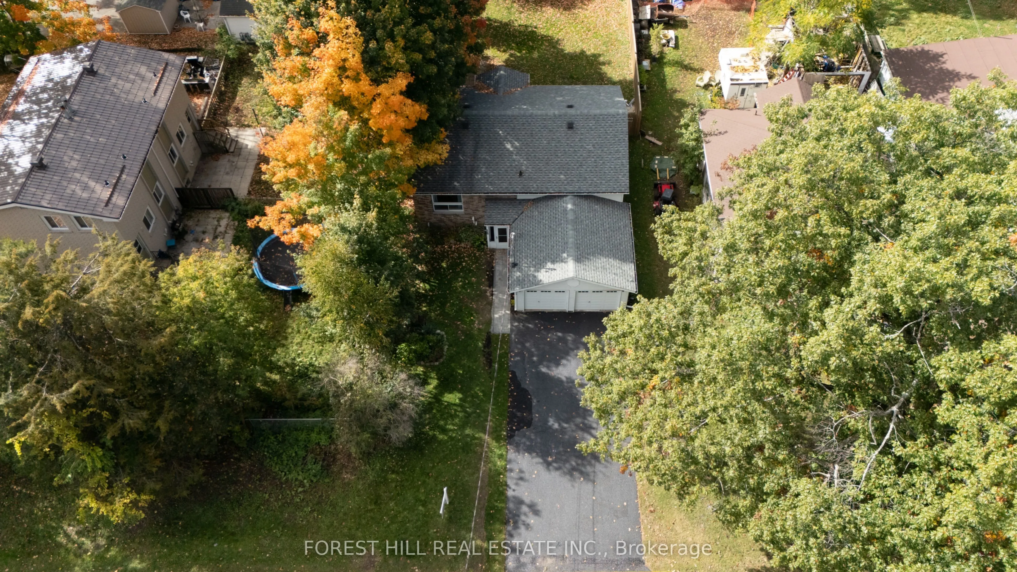 228 Cavana Street