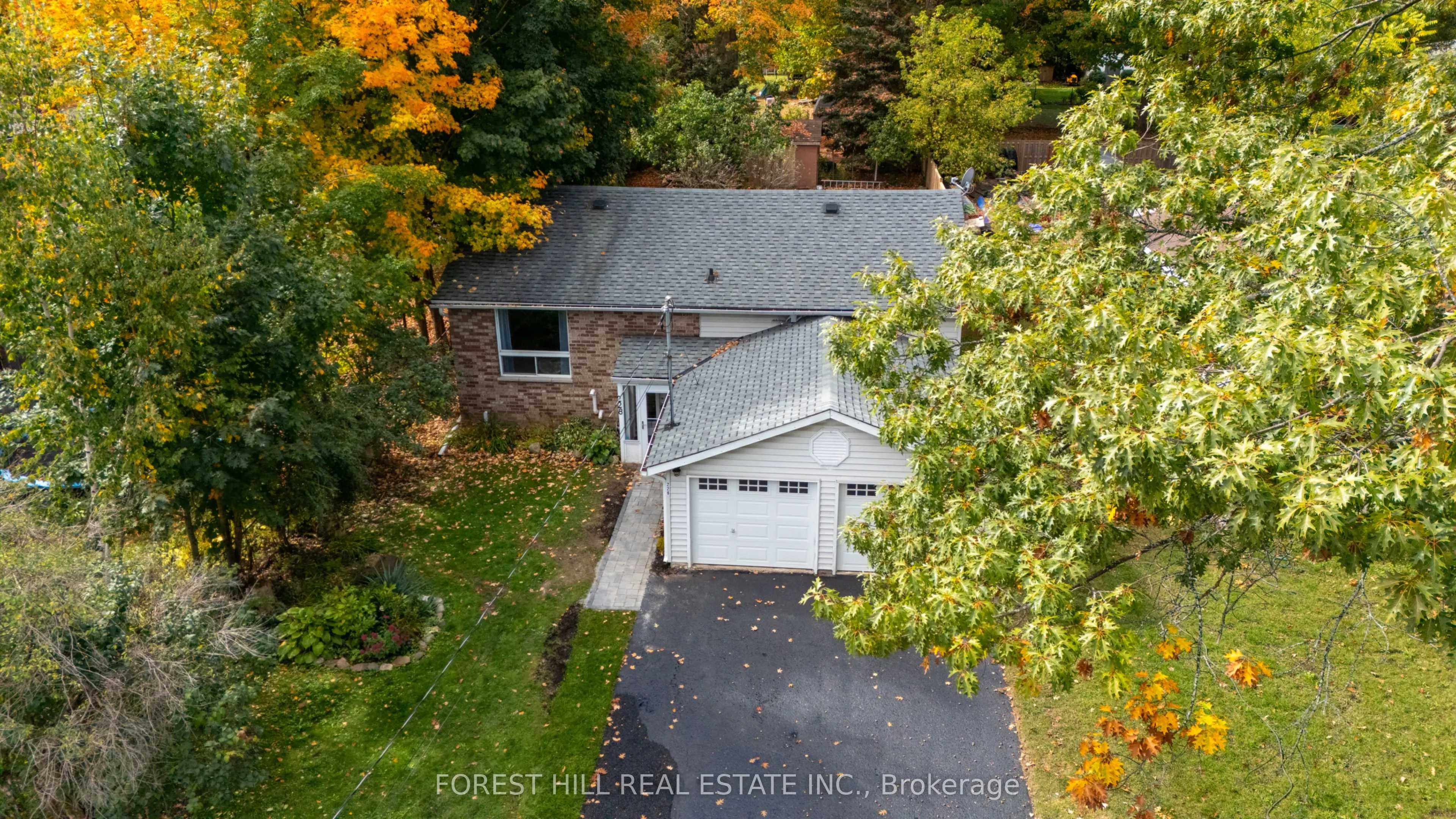 228 Cavana Street