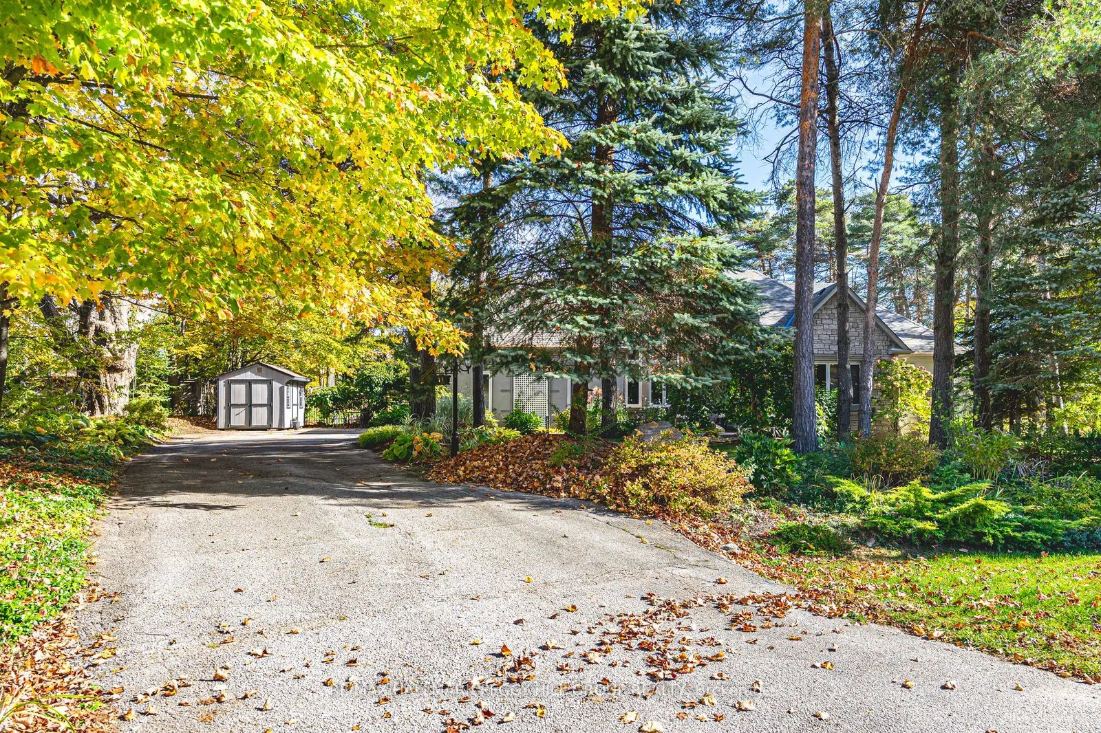 11 Bunker Place