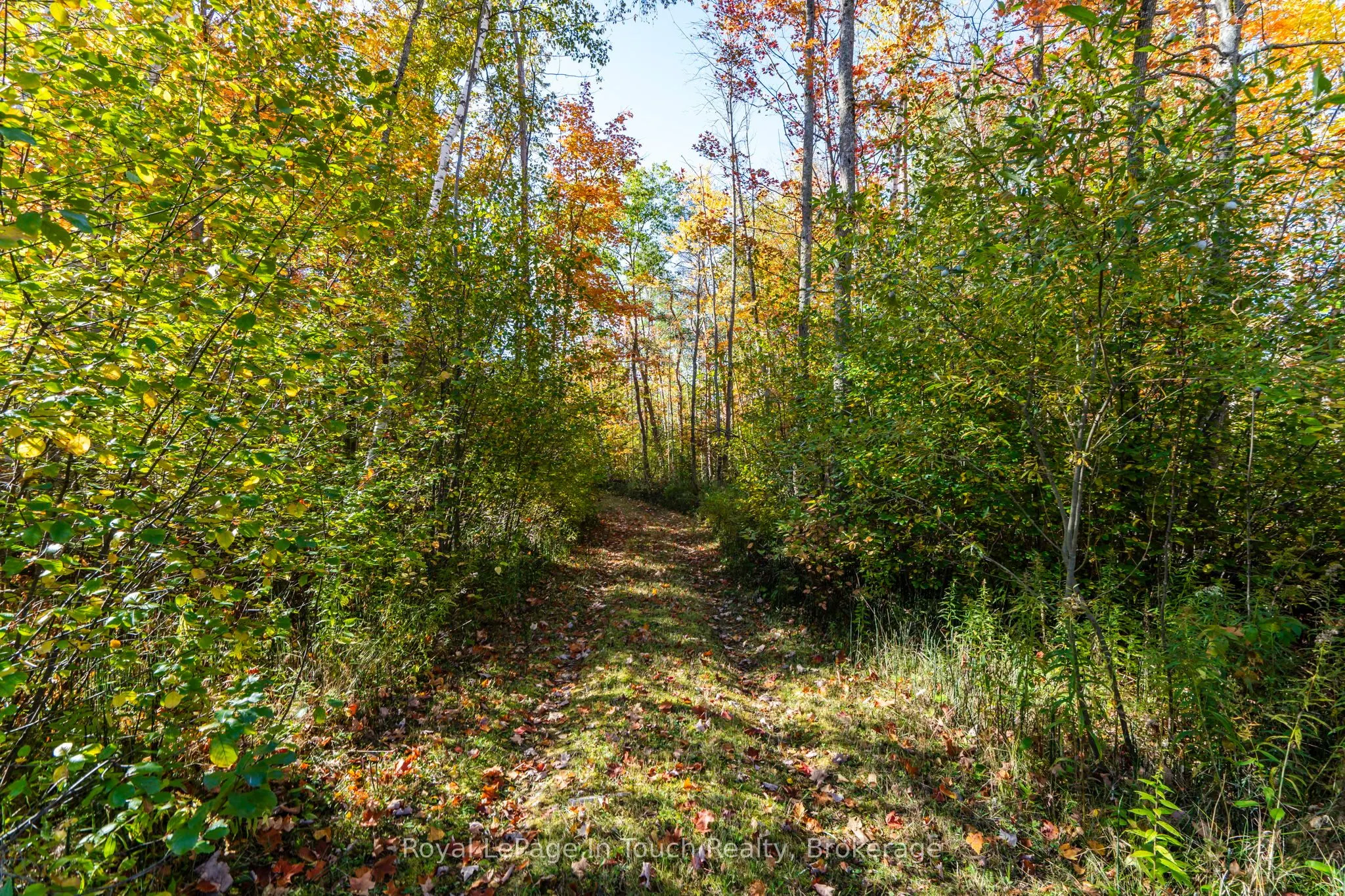 250 Peek -a- Boo Trail