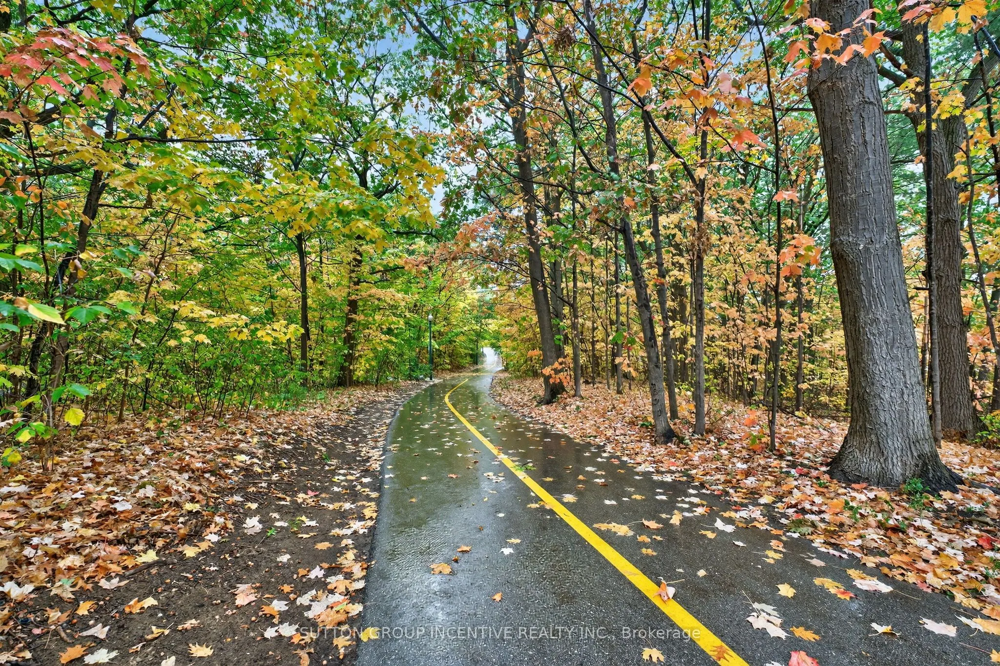 23 White Oaks Road, #5