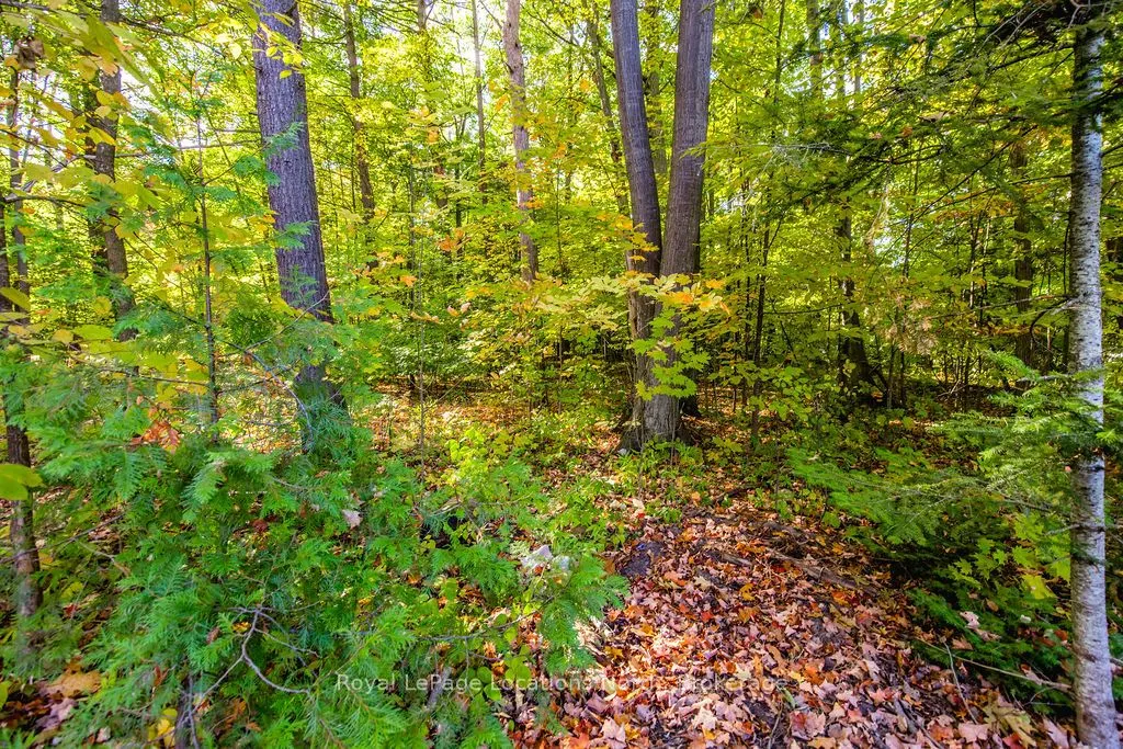 545 Oxbow Park Drive