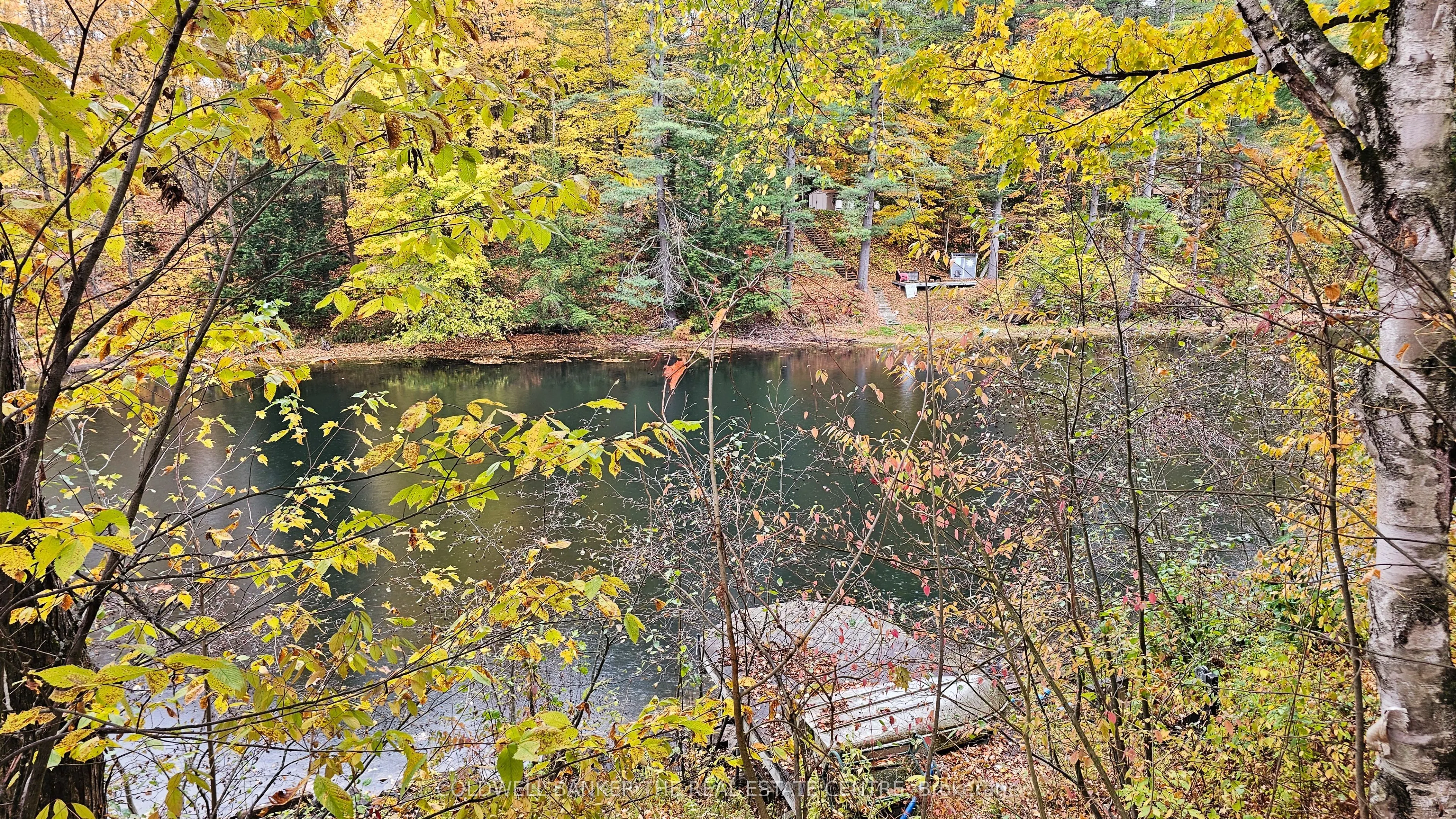 2562 NORTON Road