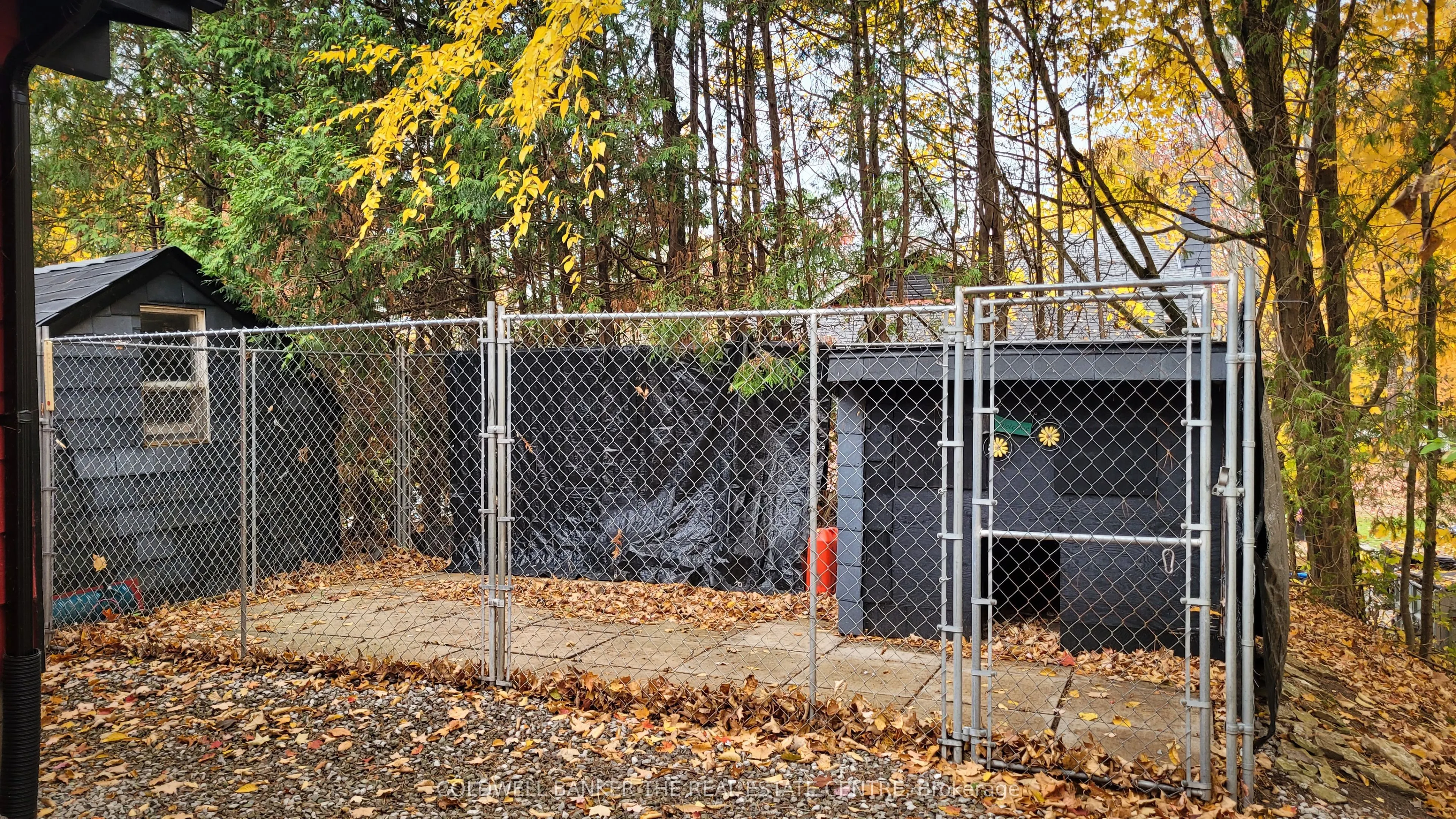2562 NORTON Road