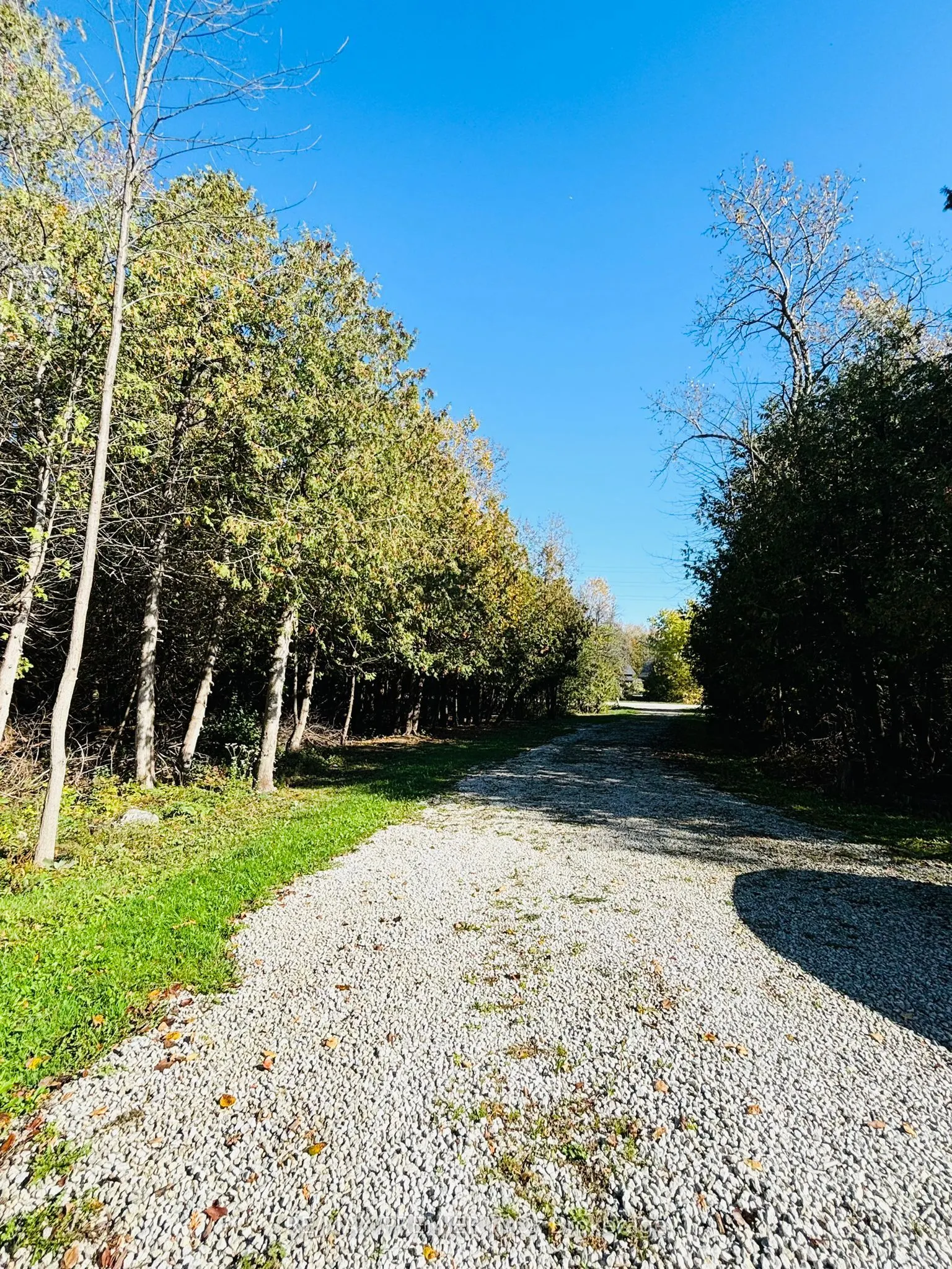 2506 Concession 10 Nottawasaga Road N