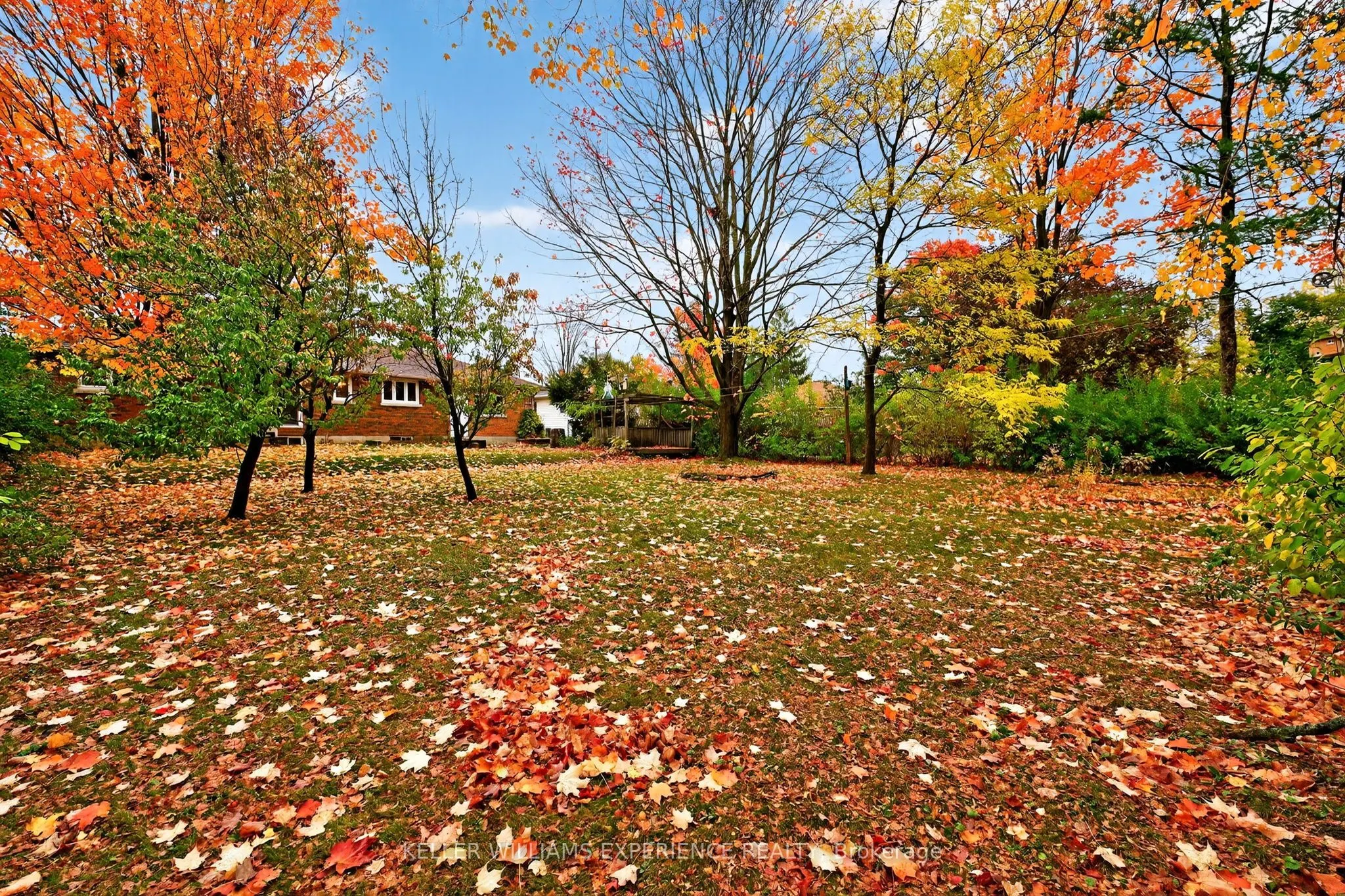 229 Warnica Road