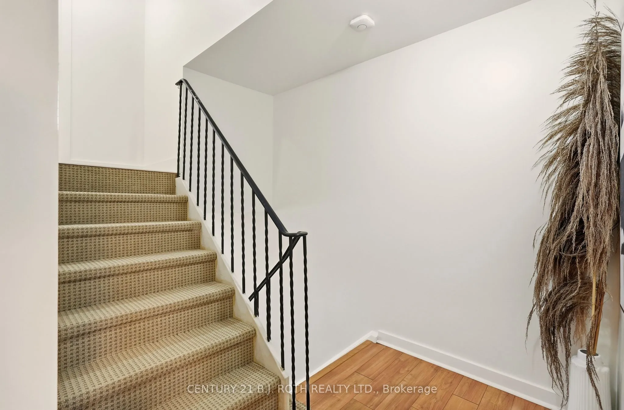 235 Steel Street, #4