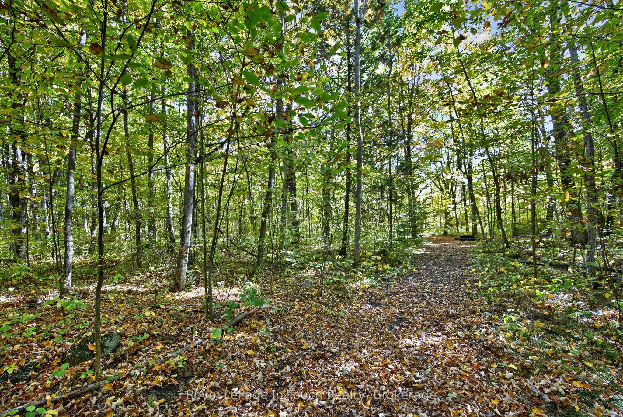 62 Tanners Road