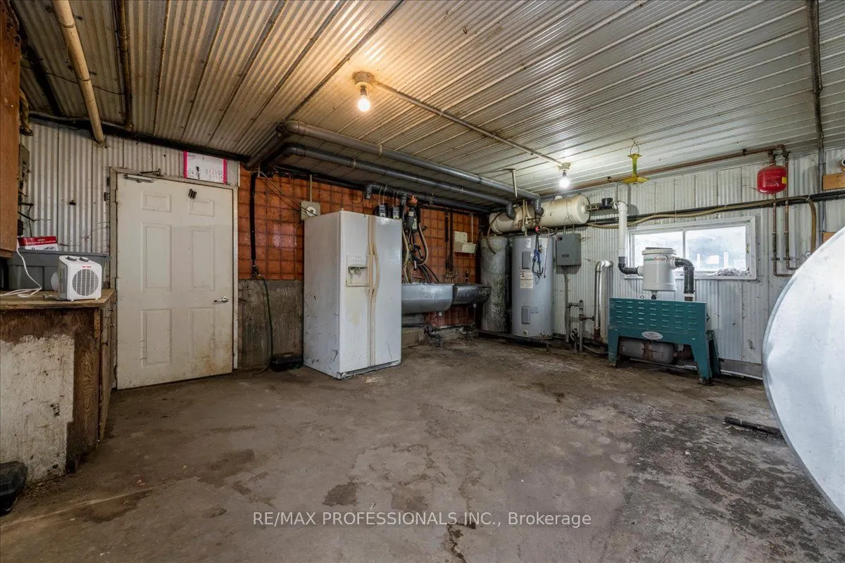 100 Tiny Flos Townline