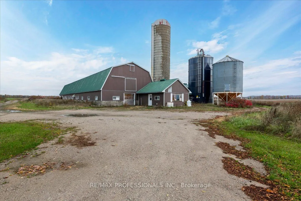 100 Tiny Flos Townline